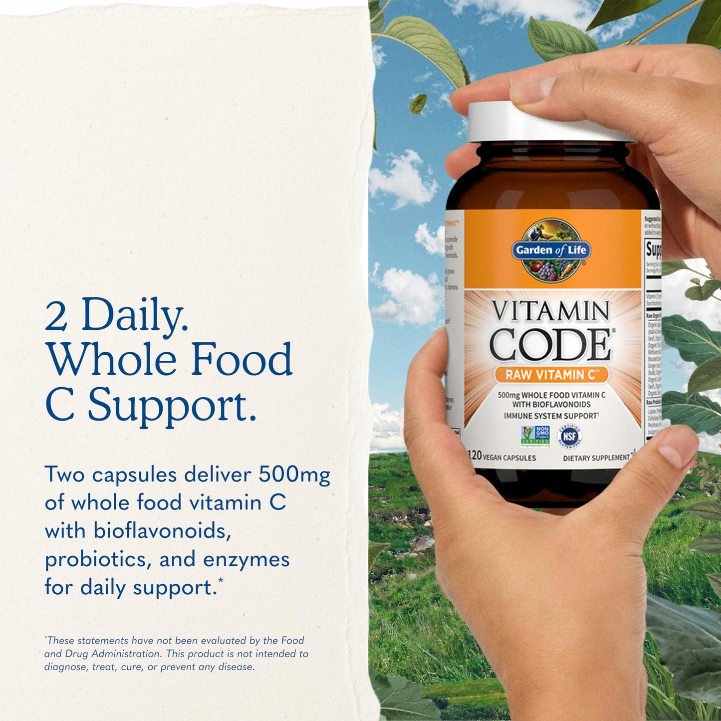 Garden of Life Vitamin Code Raw Vitamin C Capsule 120 Count