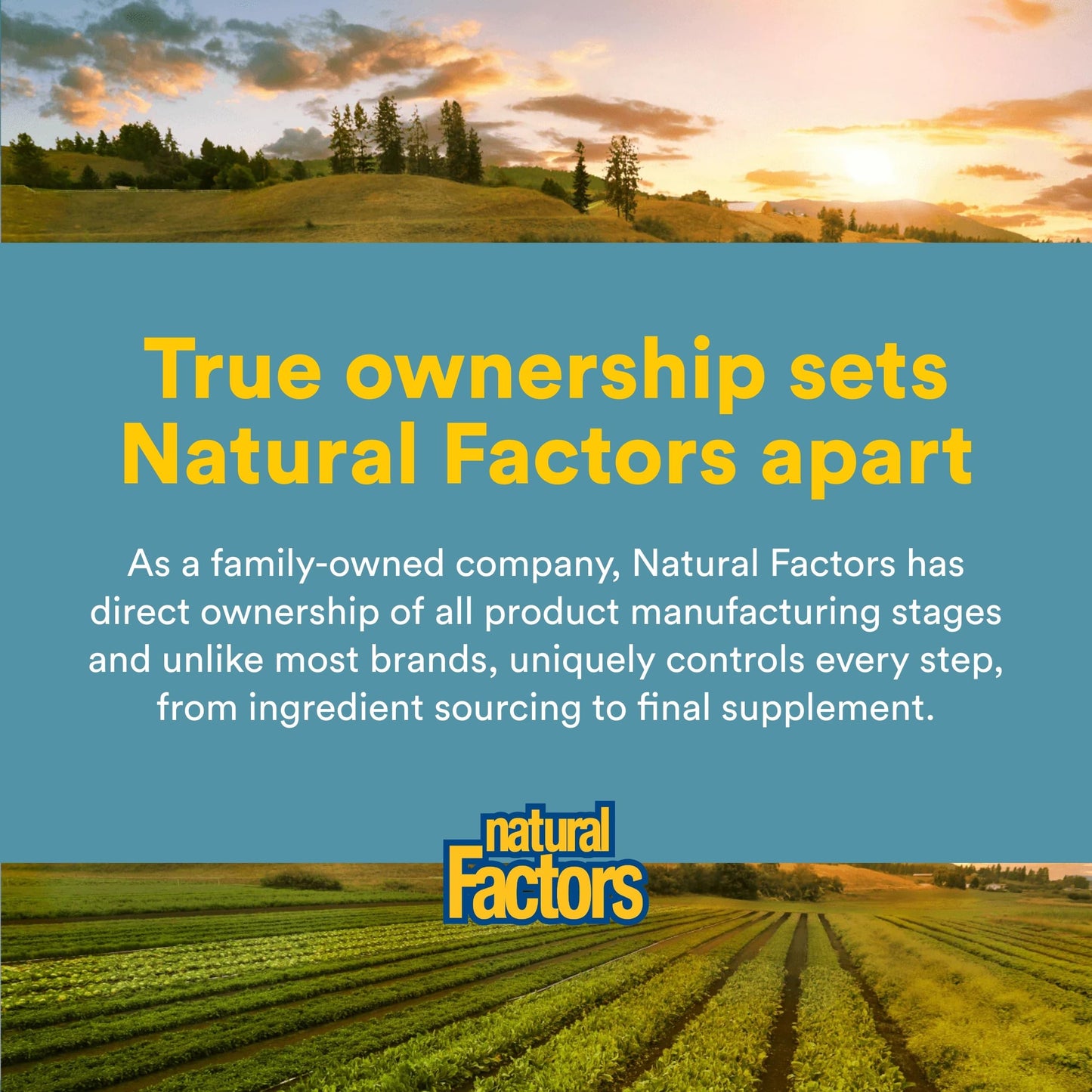 Natural Factors WomenSense VeinSense Capsule, 60 Count
