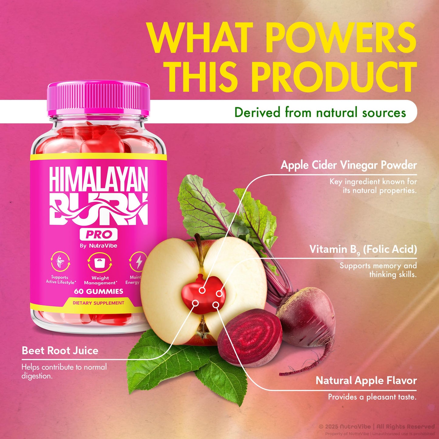 NutraVibe Himalayan Burn Pro Gummies – Natural Pink Salt Formula, 120 Gummies
