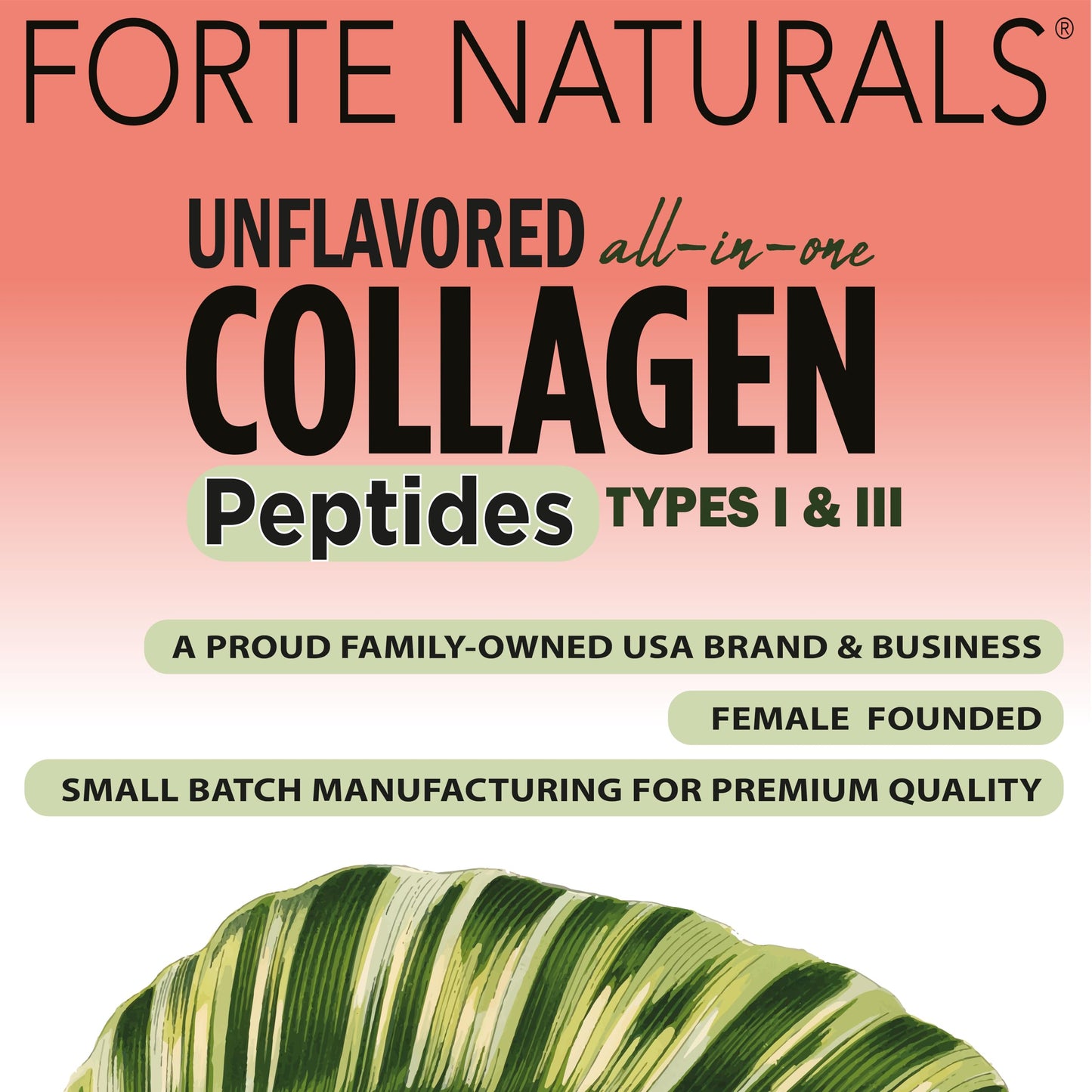 FORTE NATURALS Collagen Peptide Capsules 30 Count