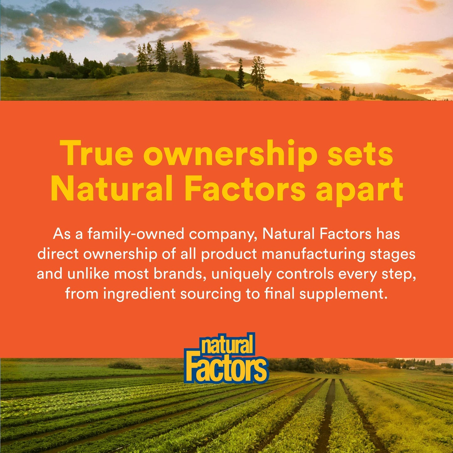 Natural Factors MSM 90 Capsules