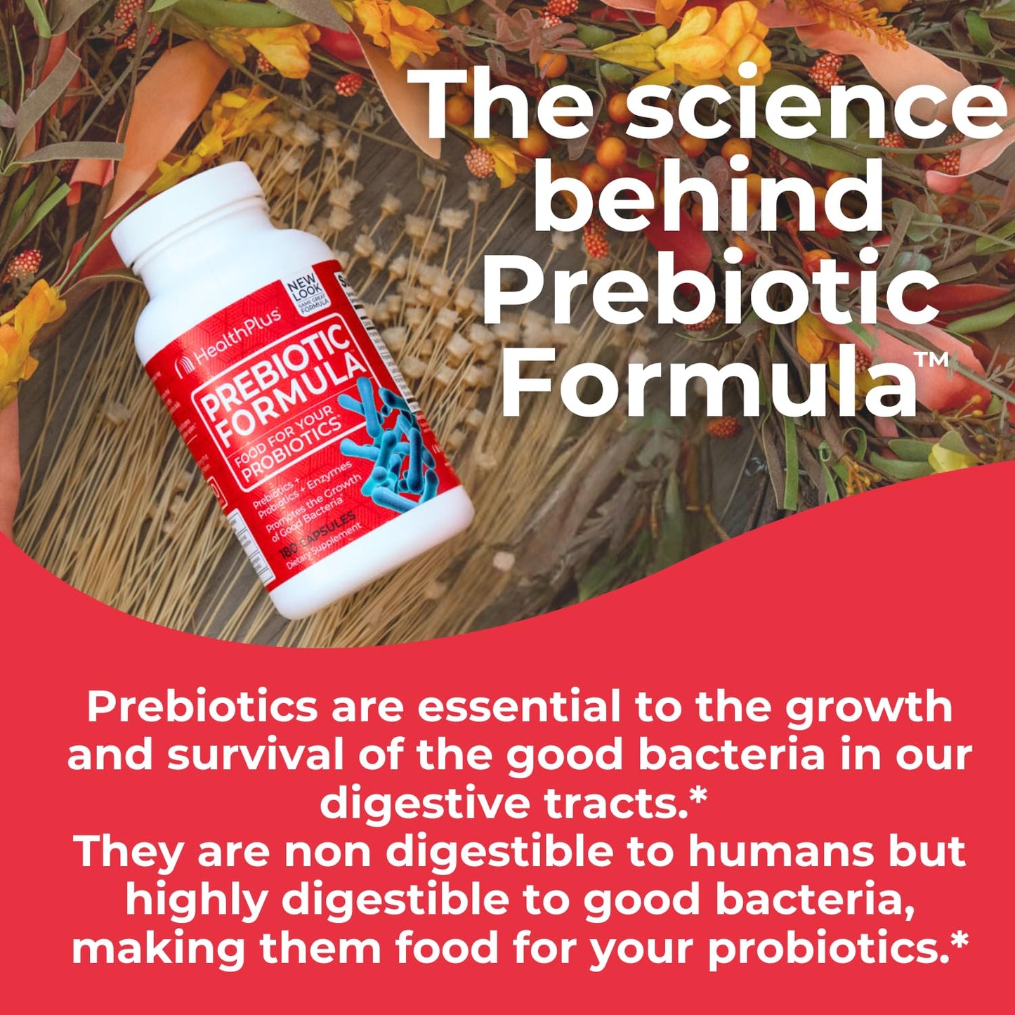 Health Plus Prebiotic Formula Probiotics + Prebiotics + Digestive Enzymes Capsules 180 Count