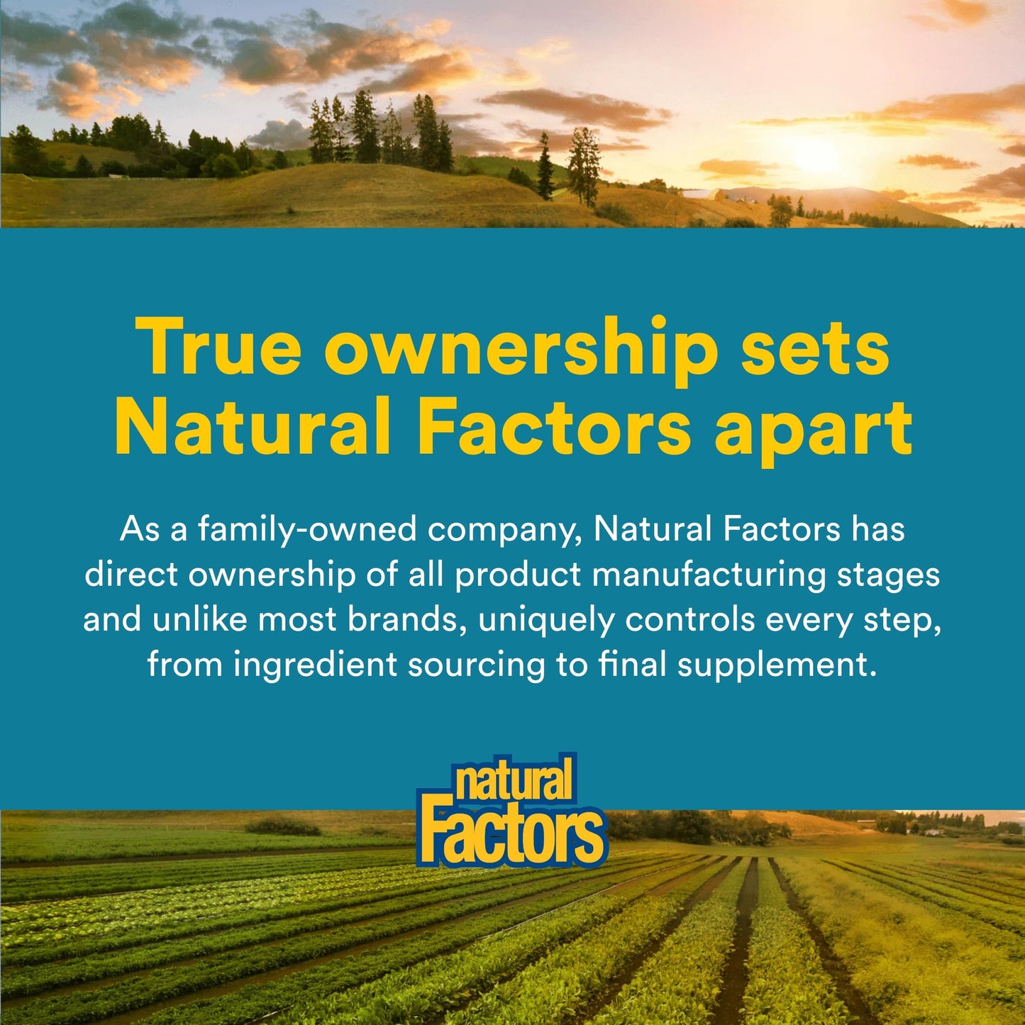 Natural Factors TravelBiotic Capsule 60 Capsules