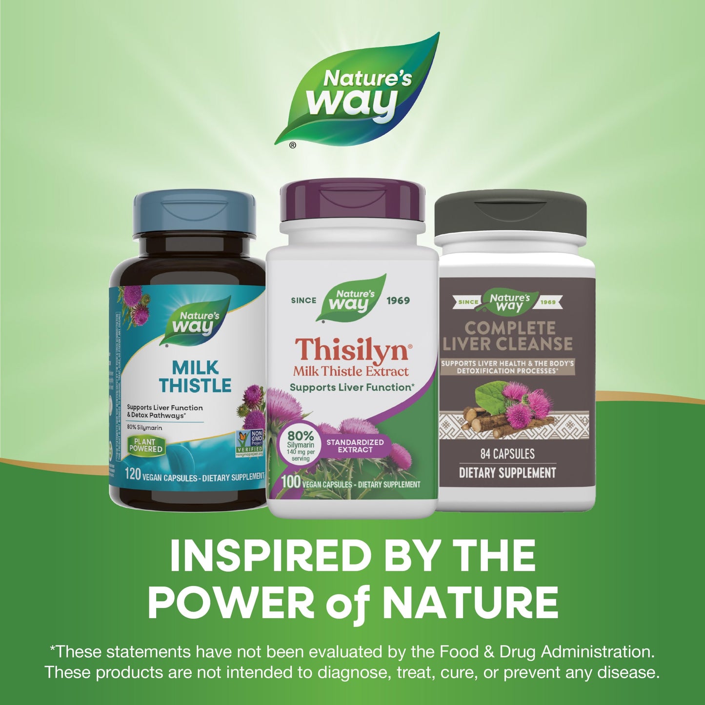 Nature's Way Thisilyn with Standardized Milk Thistle Extract Capsules, 100 Count
