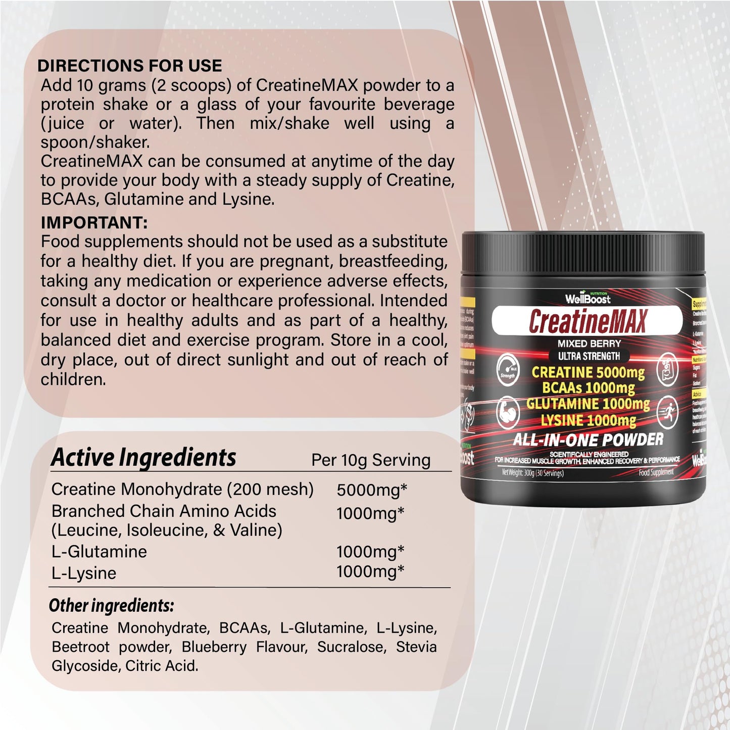 WellBoost CreatineMAX Powder 300g