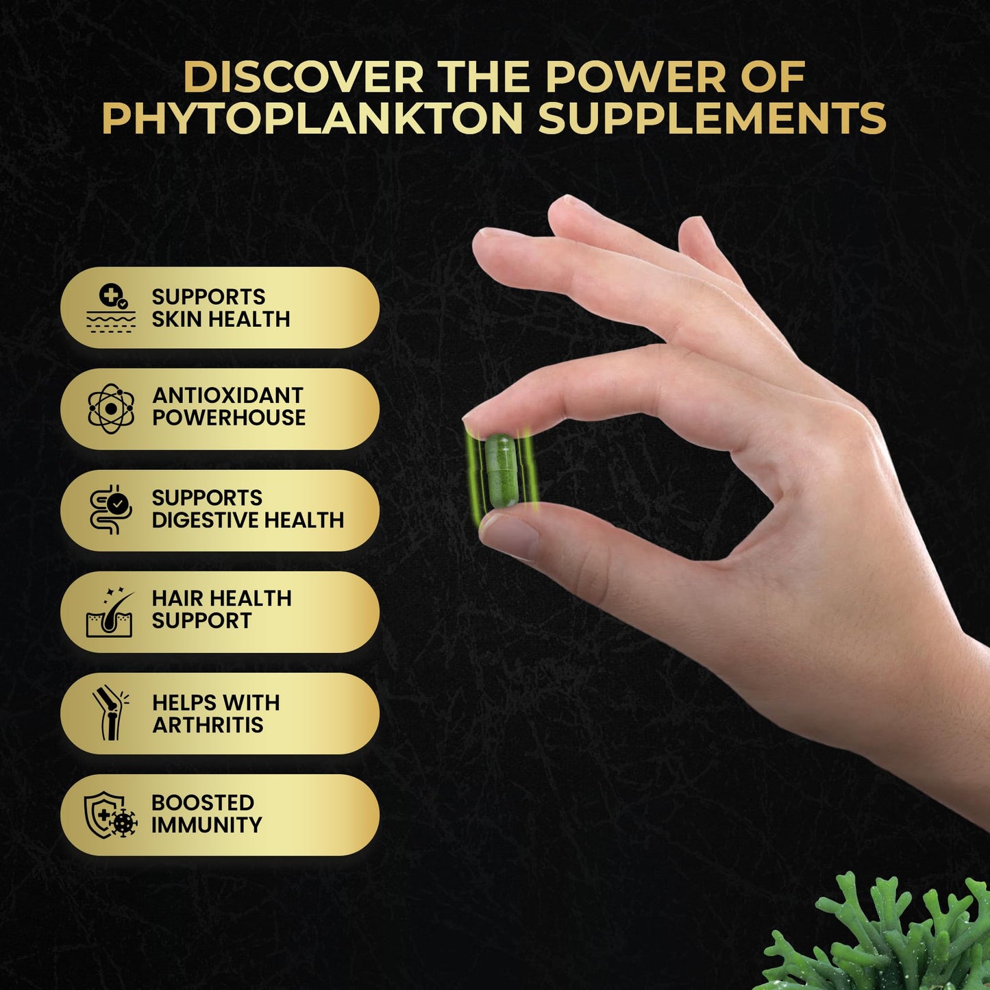 Mr Ros Marine Phytoplankton Superfood Capsule 90 Count