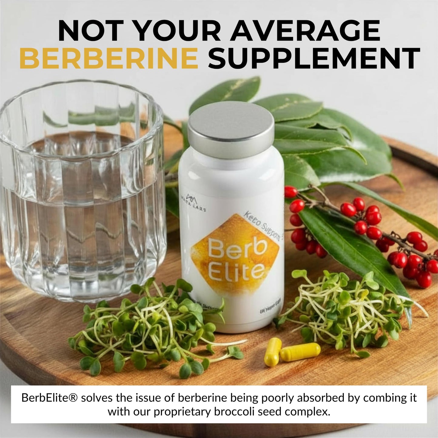 BrocElite BerbElite 350mg Berberine HCl & Broccoli Seed Complex Capsules, 120 Count