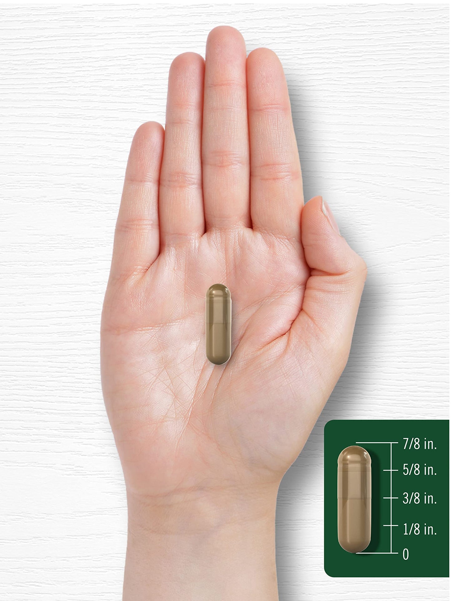 Carlyle Fennel Seed 480mg Capsules, 200 Count