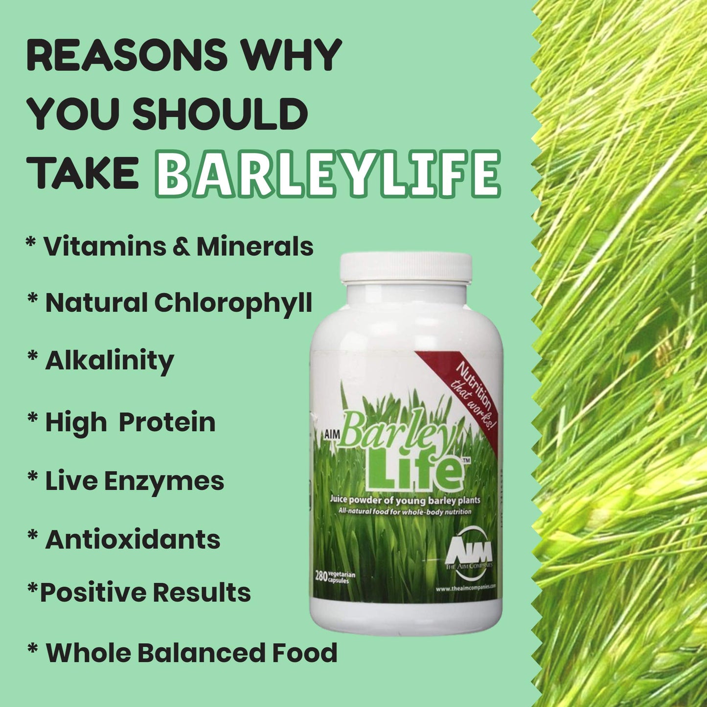 AIM International Barleylife Juice Powder of Young Barley Plants and Powerful Antioxidants Capsules, 280 Capsules