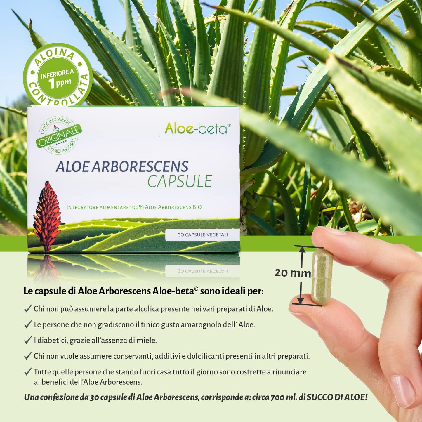 Aloe-beta Aloe Arborescens Natural Power Capsules, 0.53 oz