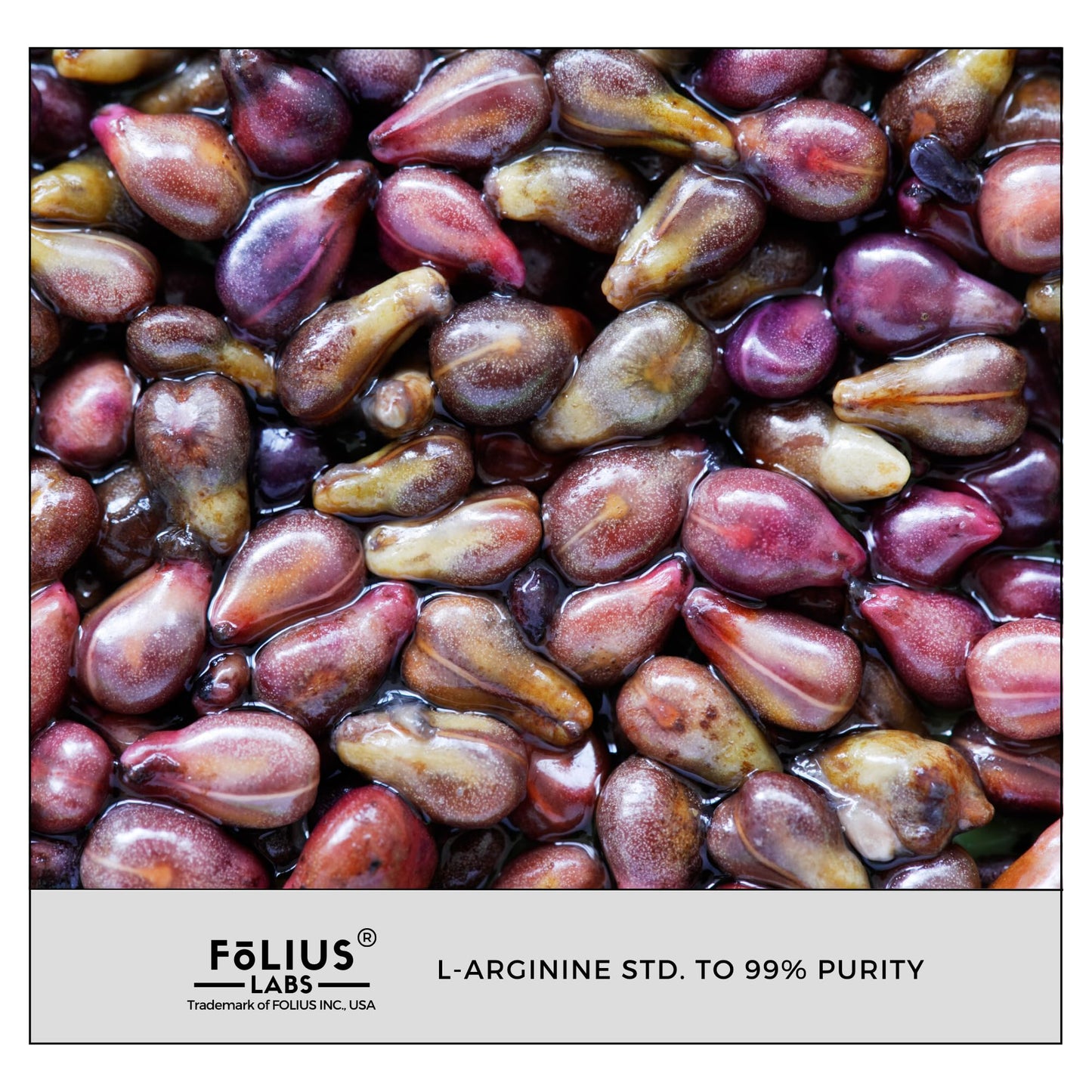 FOLIUS LABS Grape Seed Extract 500mg Capsule, 14 Count