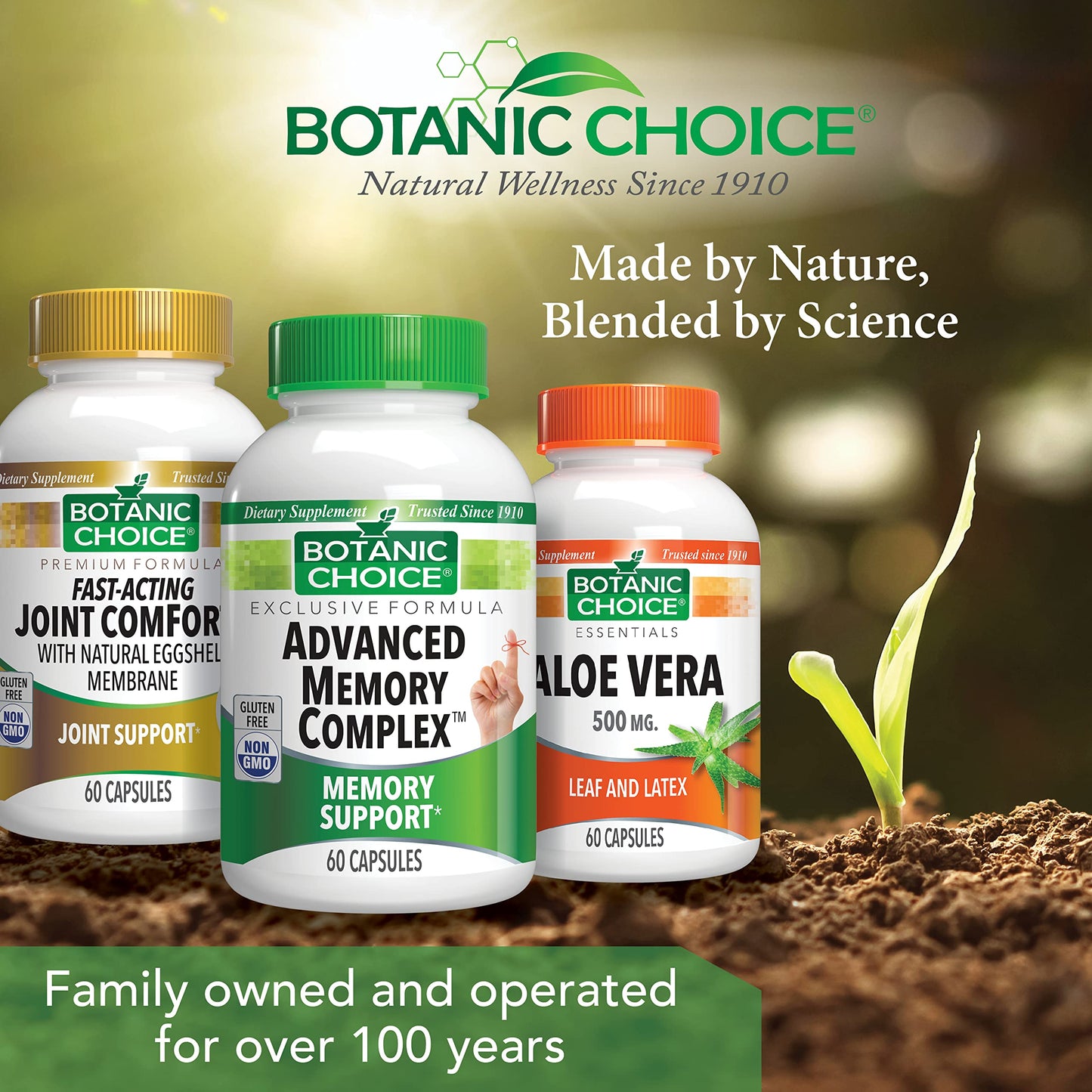 Botanic Choice Advanced Memory Complex - Mood Support Brain Supplements for Memory and Focus - Proprietary Herbal Blend with Ginkgo Biloba Capsules, 60 Count