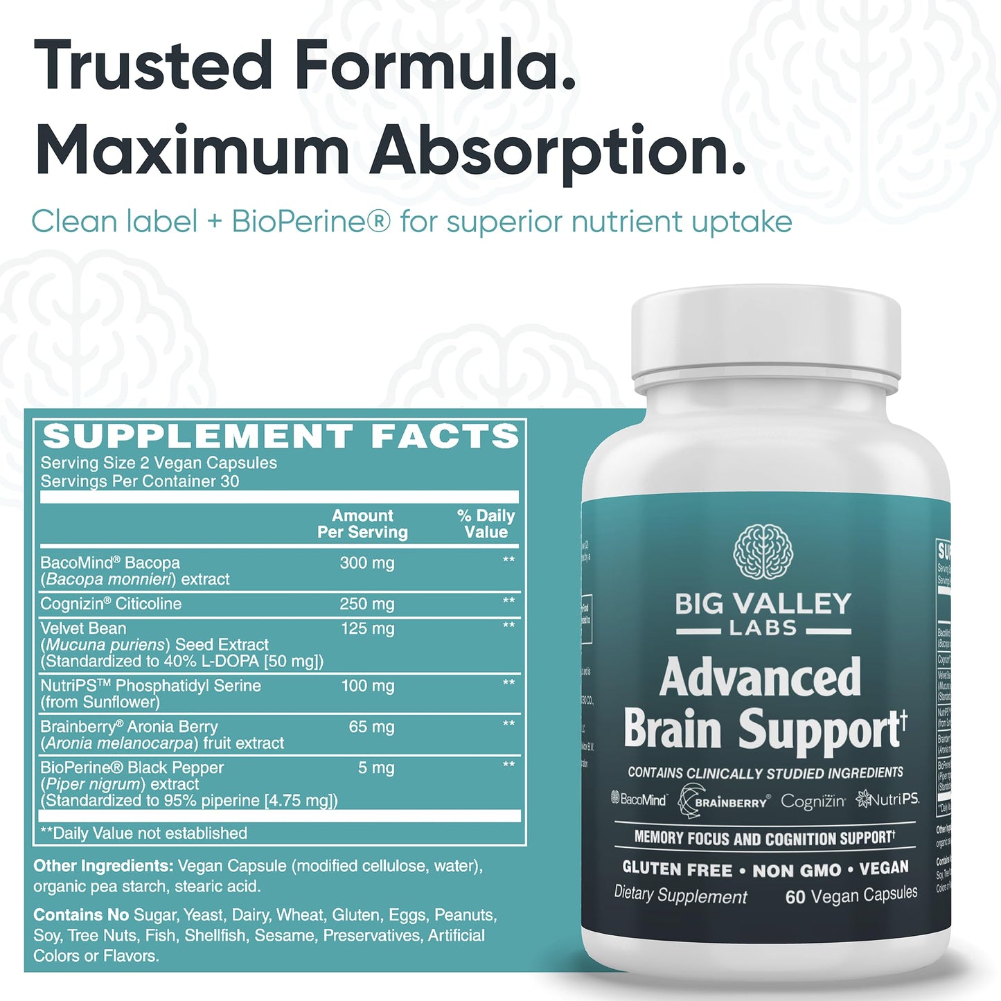 Big Valley Labs Advanced Brain Supplement 60 Capsules
