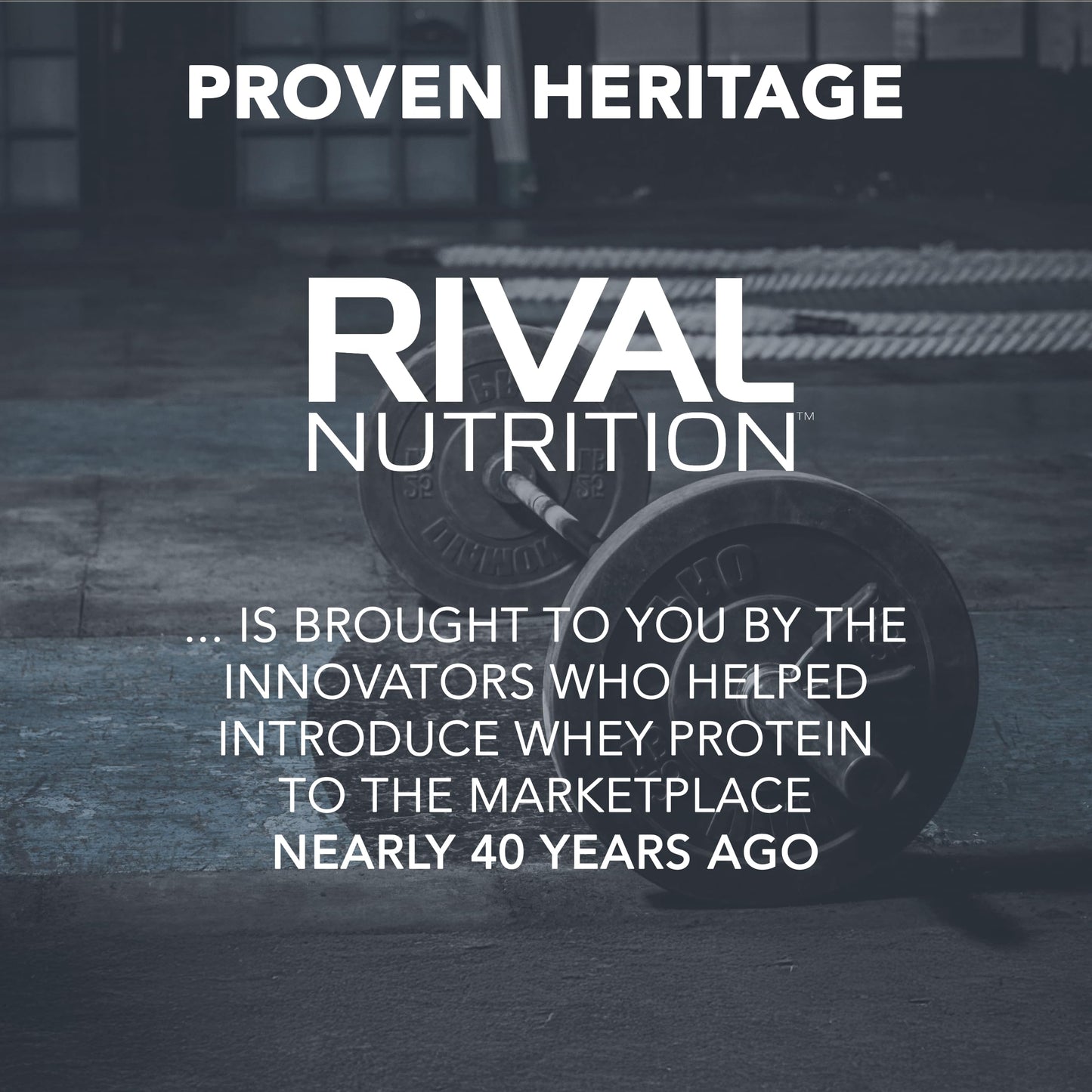 Rival Nutrition Promasil Protein Powder Rich Chocolate, 5 Lb, 80 Servings