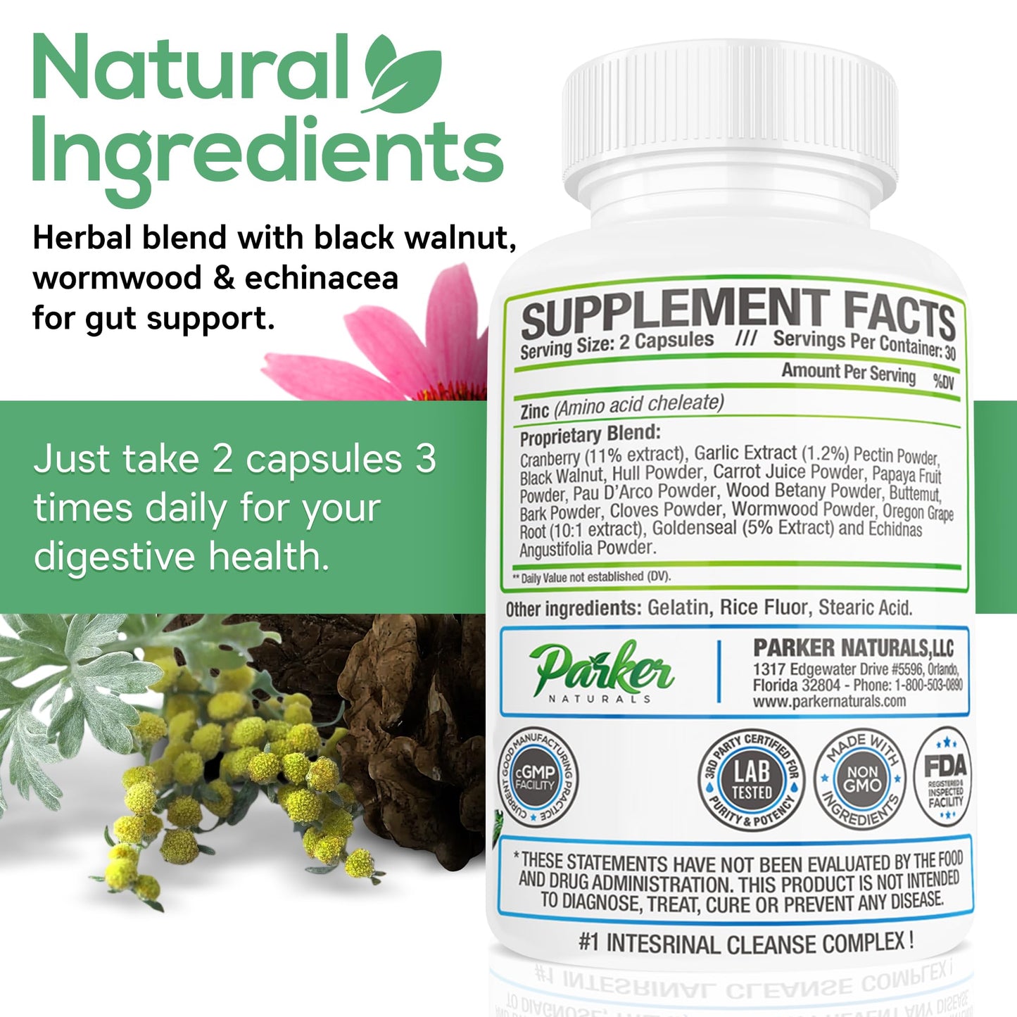 Parker Naturals Intestinal Cleanse for Adults – Extra Strength Intestine Cleanse and Detox Supplements with Black Walnut Hull, Wormwood, and Echinacea, 60 Capsules