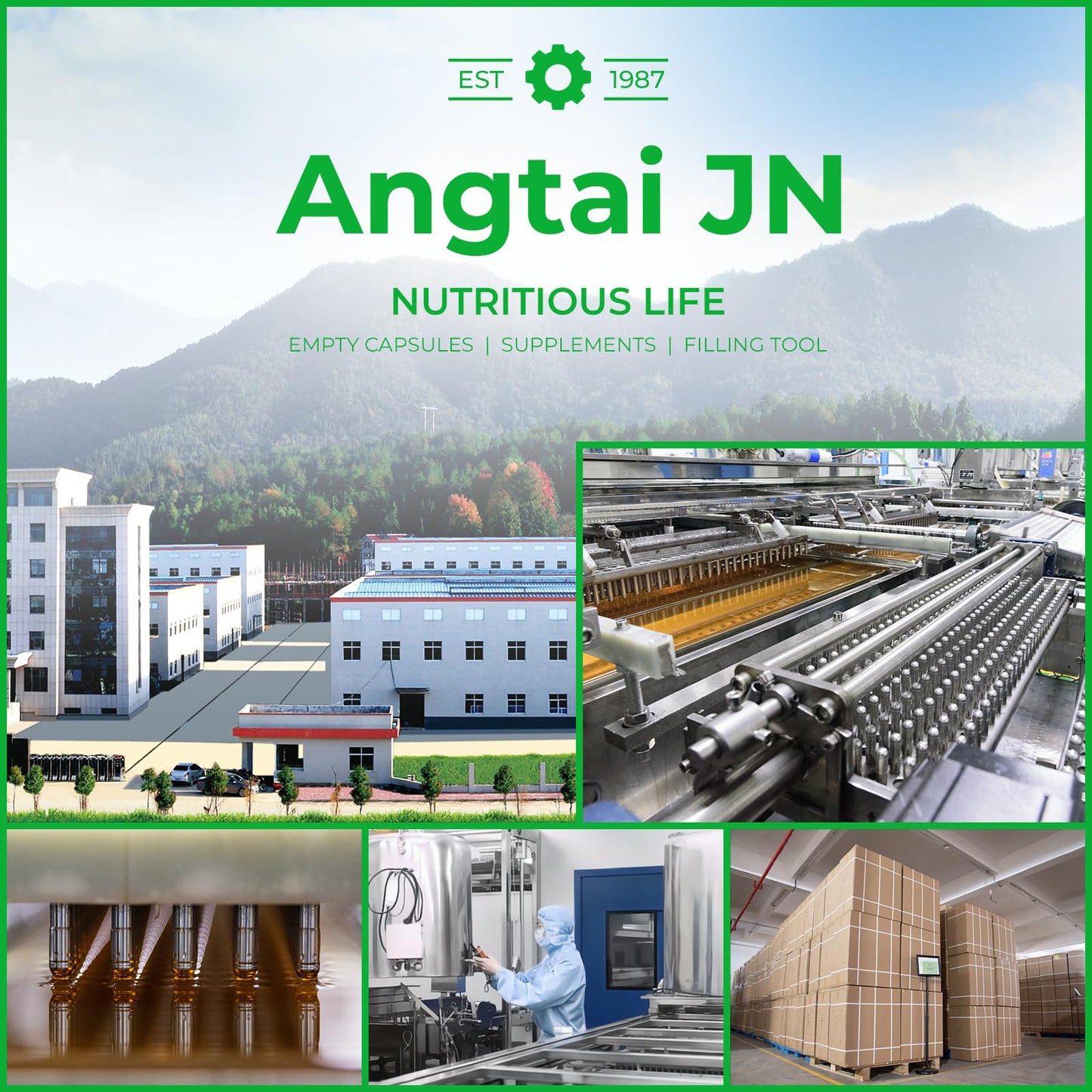 Angtai JN Vegan Capsules Capsule 100 Count