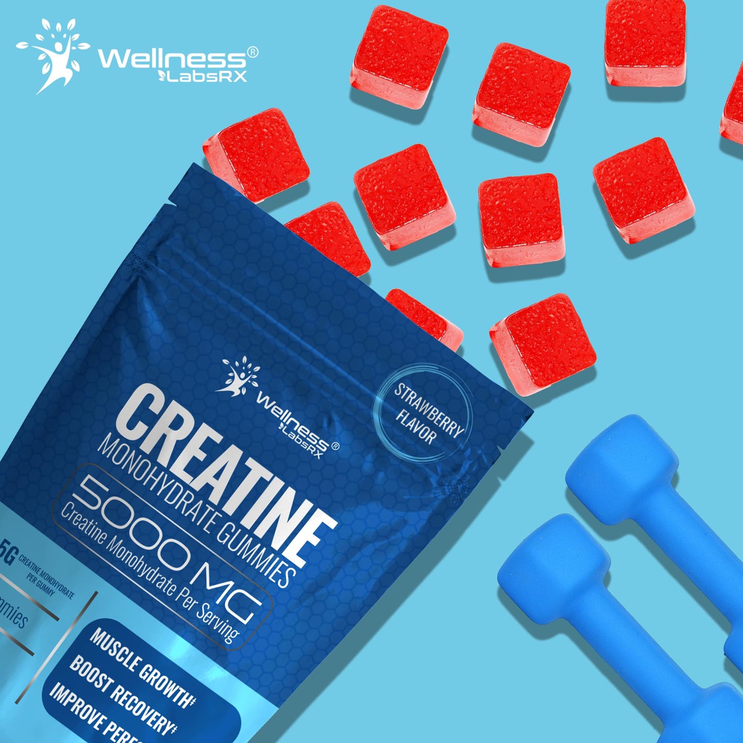 WELLNESS LABSRX Creatine Monohydrate Gummy 60