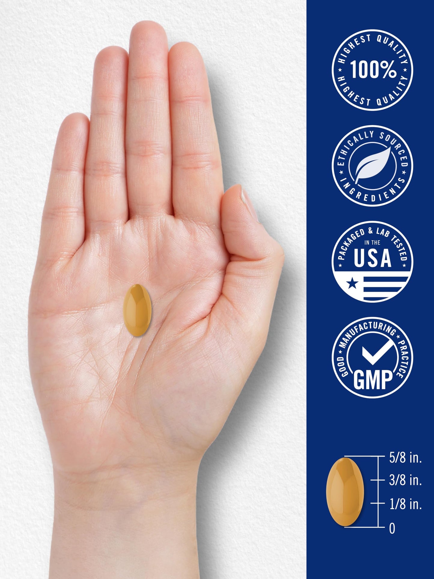 Carlyle Brain Nootropic Supplement Softgels 60 Count