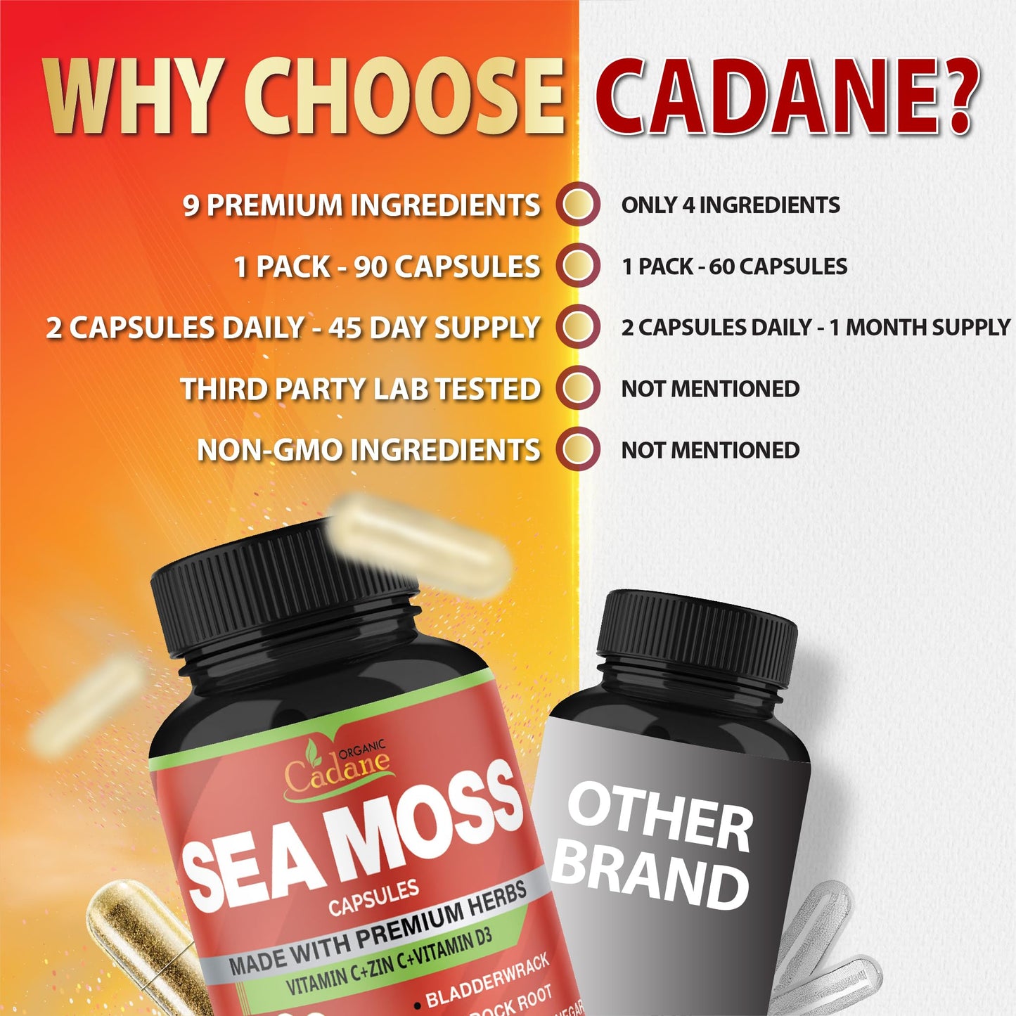 Organic Cadane Irish Sea Moss Extract Capsules 9in1 with VitC, VitD, Bladderwrack, Burdock Root, Elderberry & More – Immune Support & Overall Health, 90 Capsules