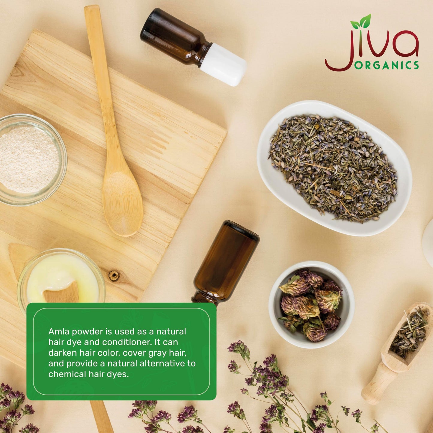 Jiva Organics Organic Amla Powder (Powder) 20 oz