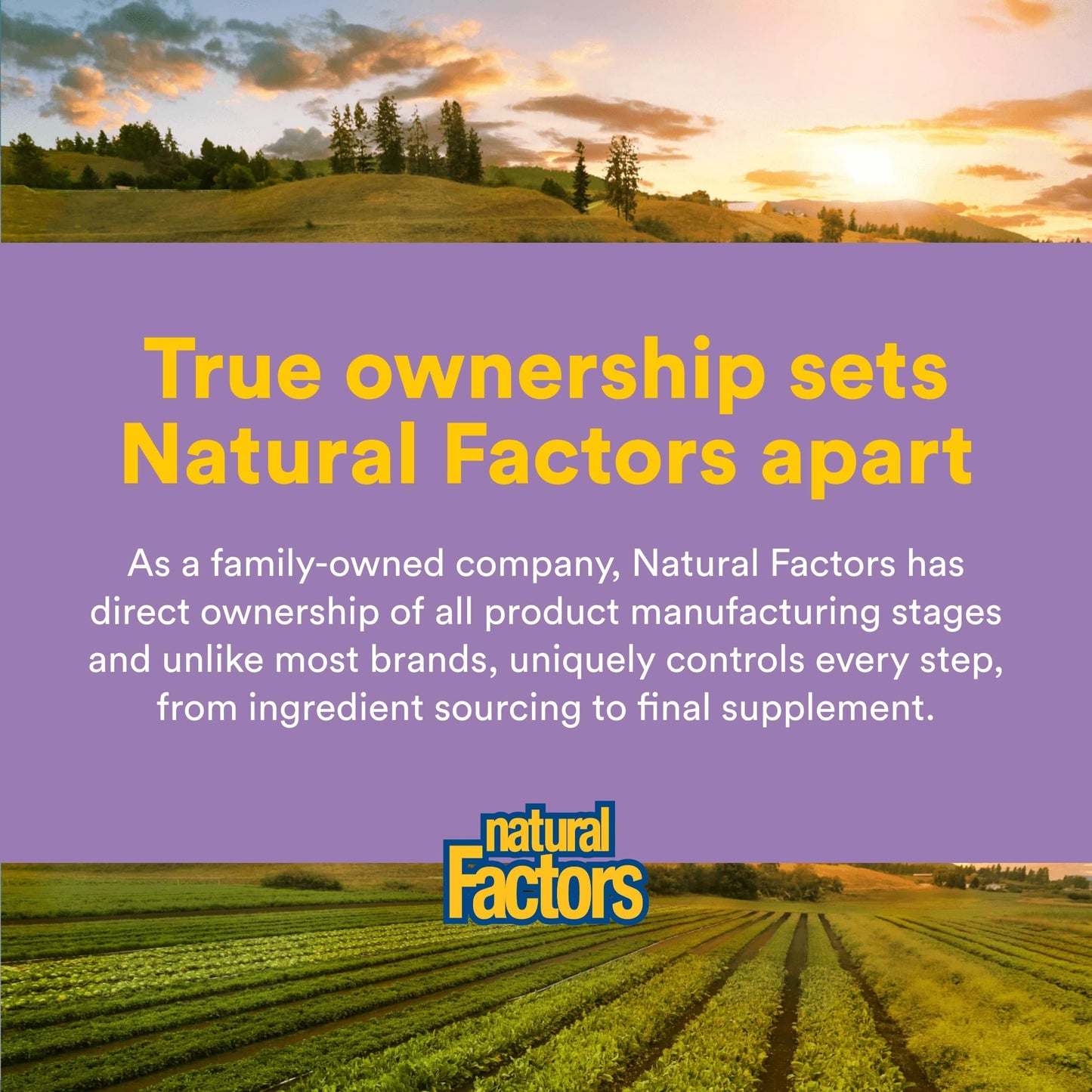 Natural Factors Coenzyme Q10 50 mg Softgels 60