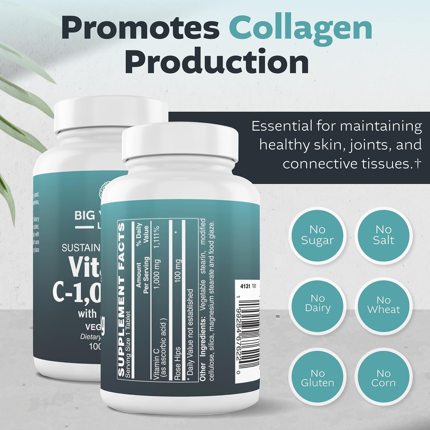 Big Valley Labs Vitamin C 1,000 mg + Bioflavonoids & Rose Hips – Potent Antioxidant Daily Wellness Support, Vegan, Non-GMO, Gluten-Free Capsule, 1 Count