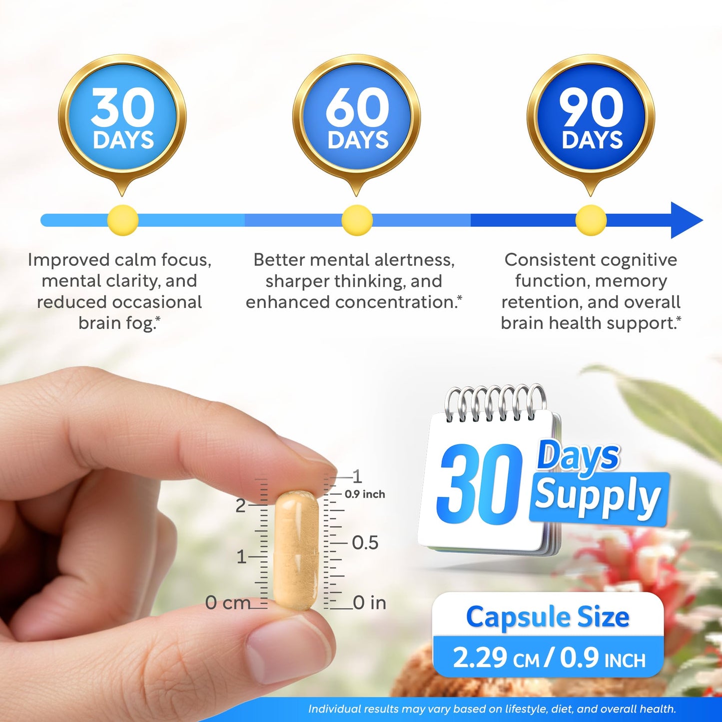 Dalnara Brain Fog Supplement for Women Capsule, 60 Count