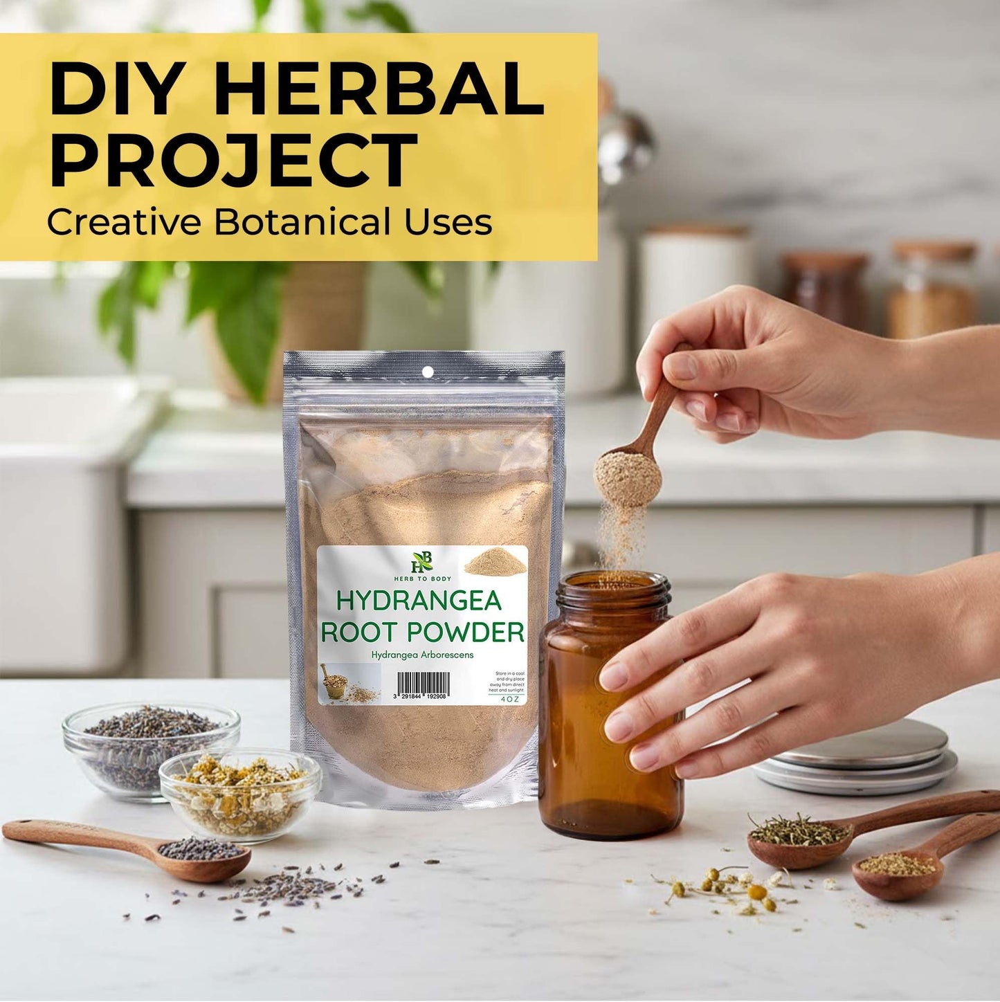 Herb To Body Hydrangea Root Powder 4 oz