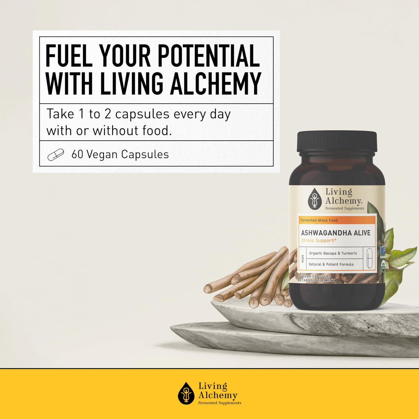 Living Alchemy Ashwagandha Capsule with Fermented Ashwagandha, Bacopa & Turmeric Curcumin for Sleep, Cognition & Mood Support, Vegan, Non-GMO, 60 Capsules
