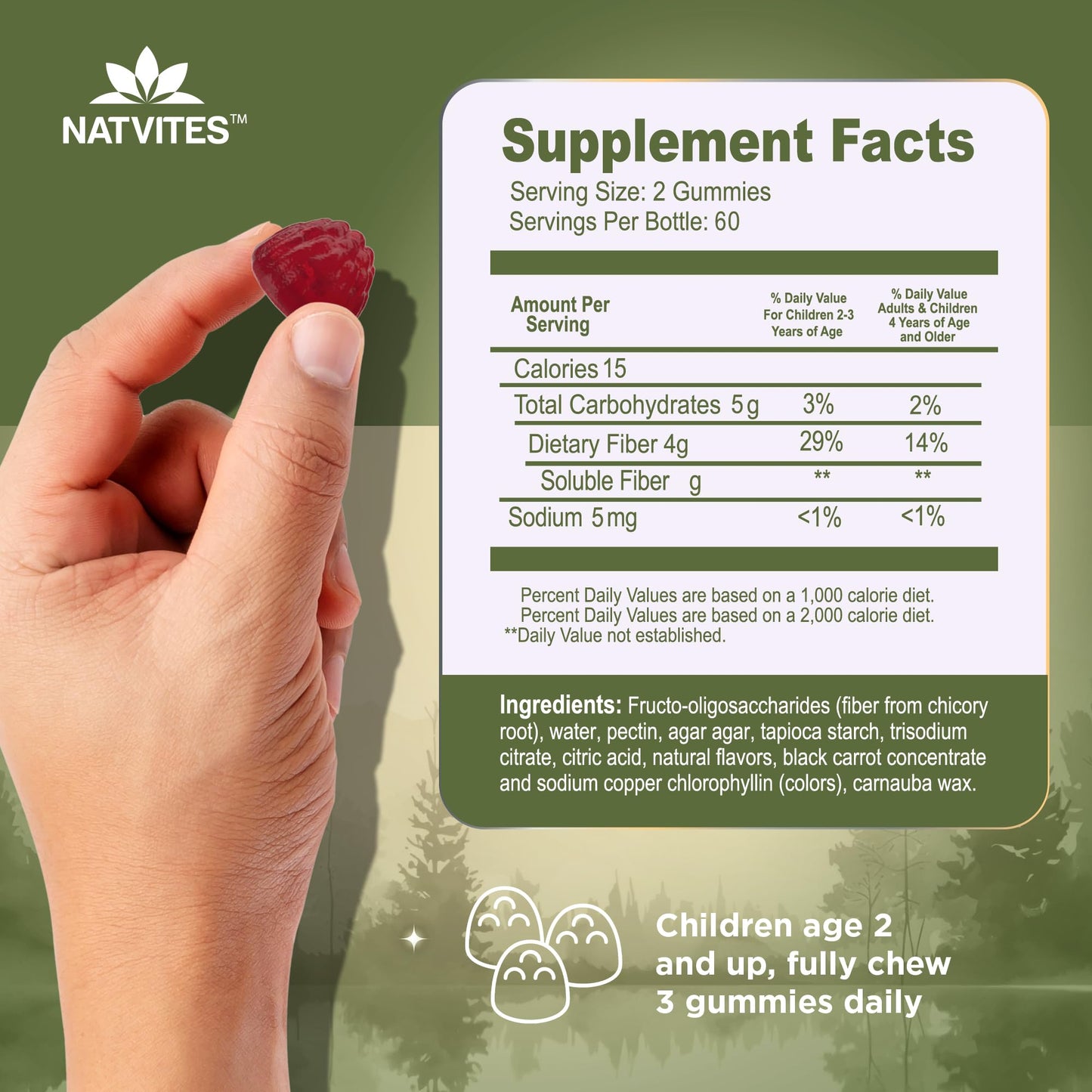 Natvites Prebiotic Kids Fiber Gummies 120 Count