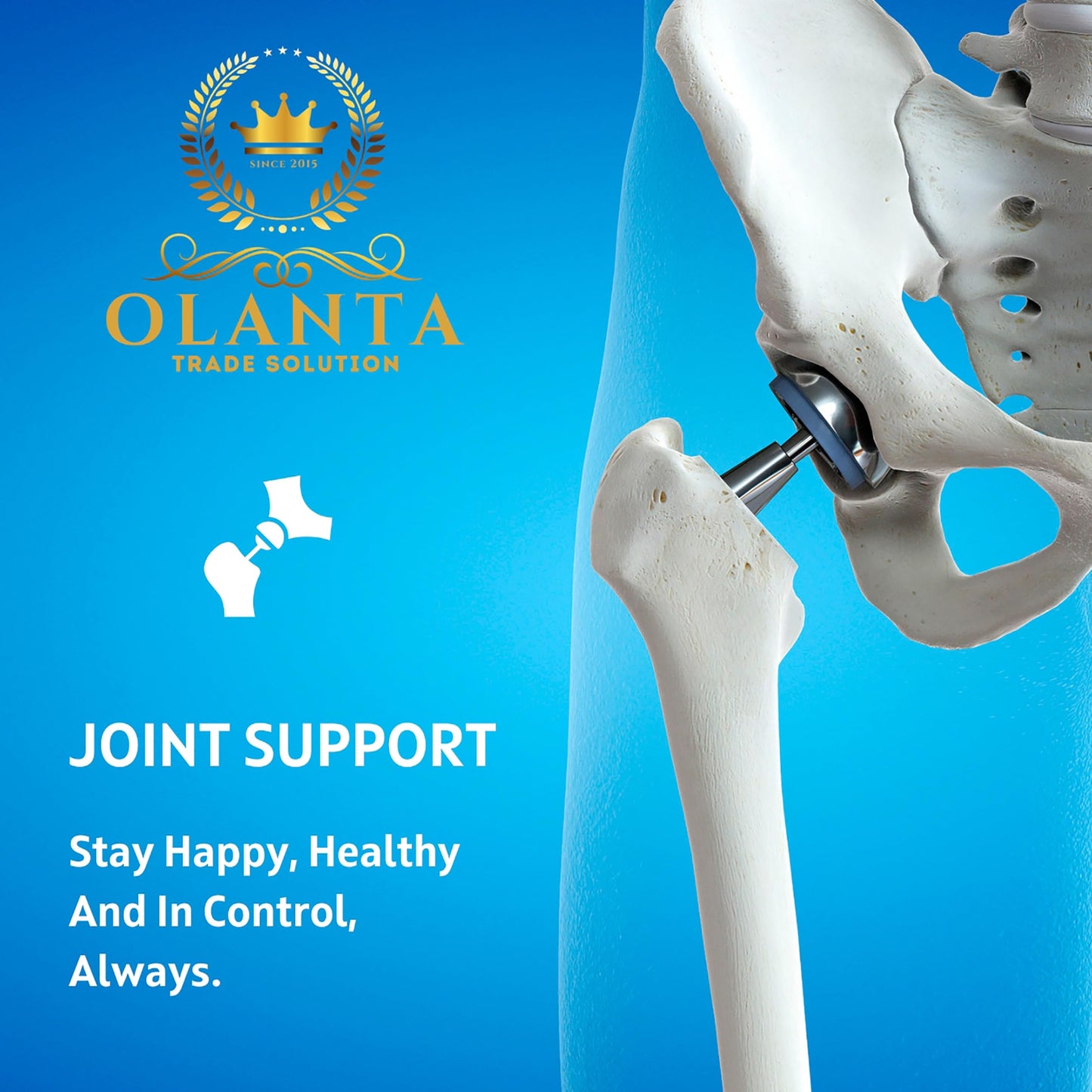 OLANTA TRADE SOLUTION Natural Uric Acid Flush for Gout with Devil's Claw Root, Supports Joint Mobility & Comfort, Supports Healthy Uric Acid Level, 60 Capsules