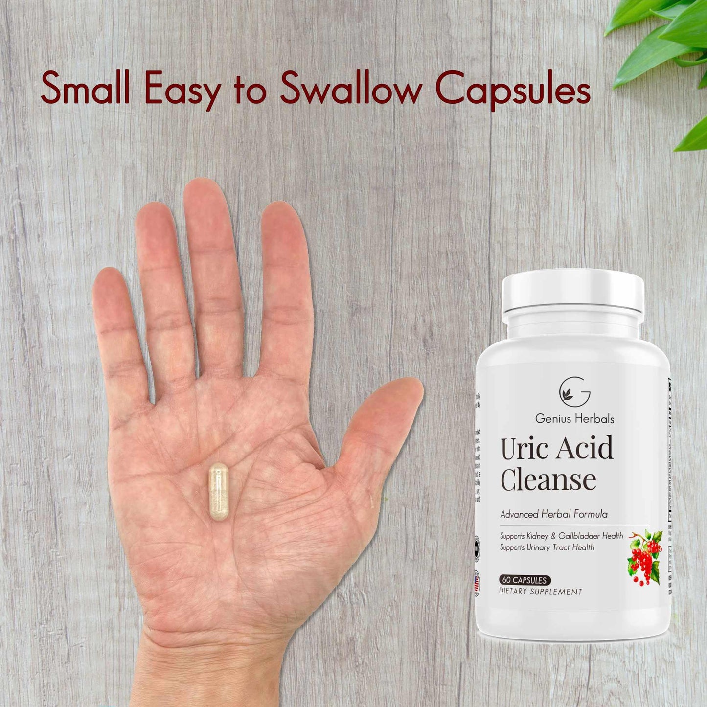 GENIUS HERBALS Uric Acid Cleanse Capsules 120