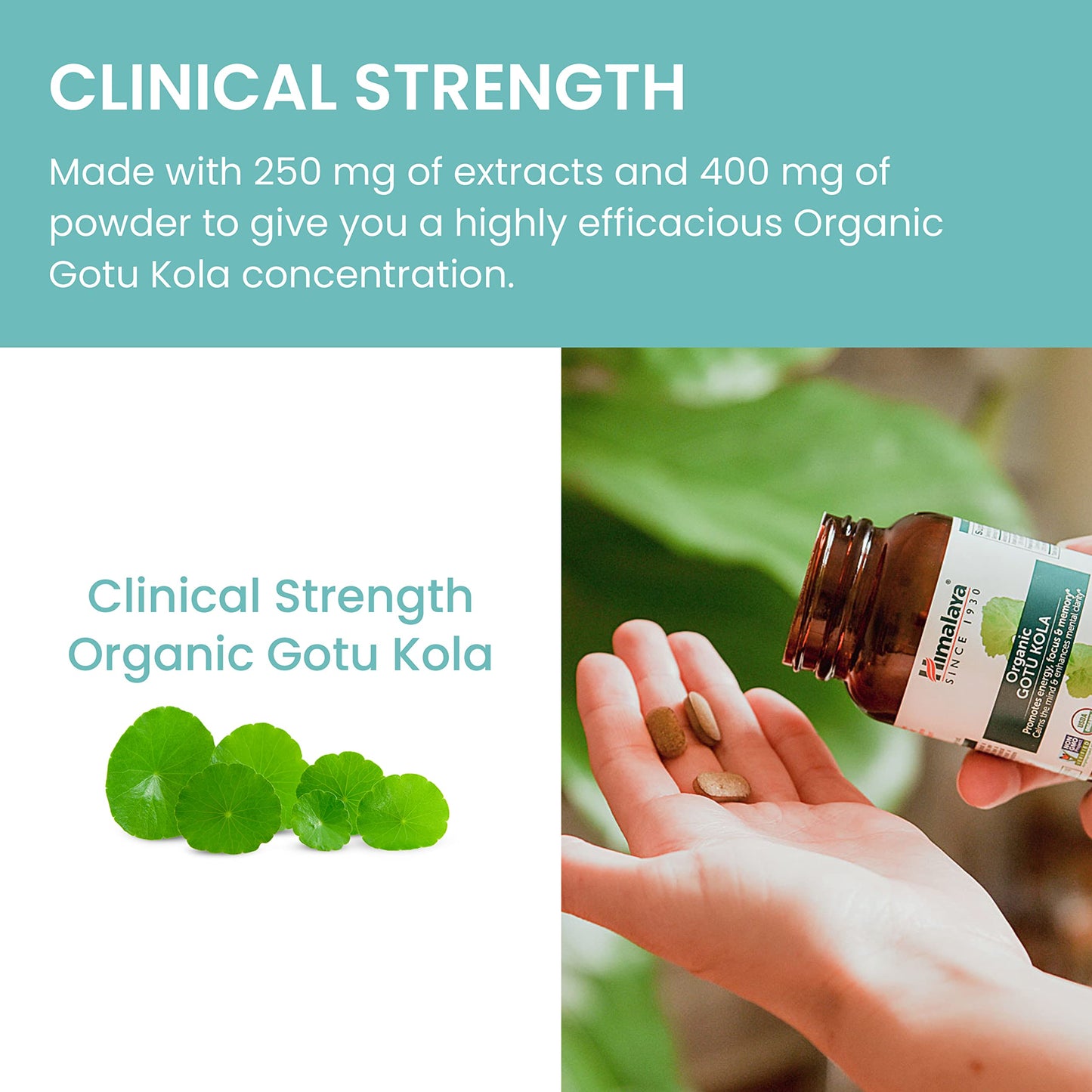 Himalaya USDA Organic Gotu Kola 650 mg Caplets, 180 Count