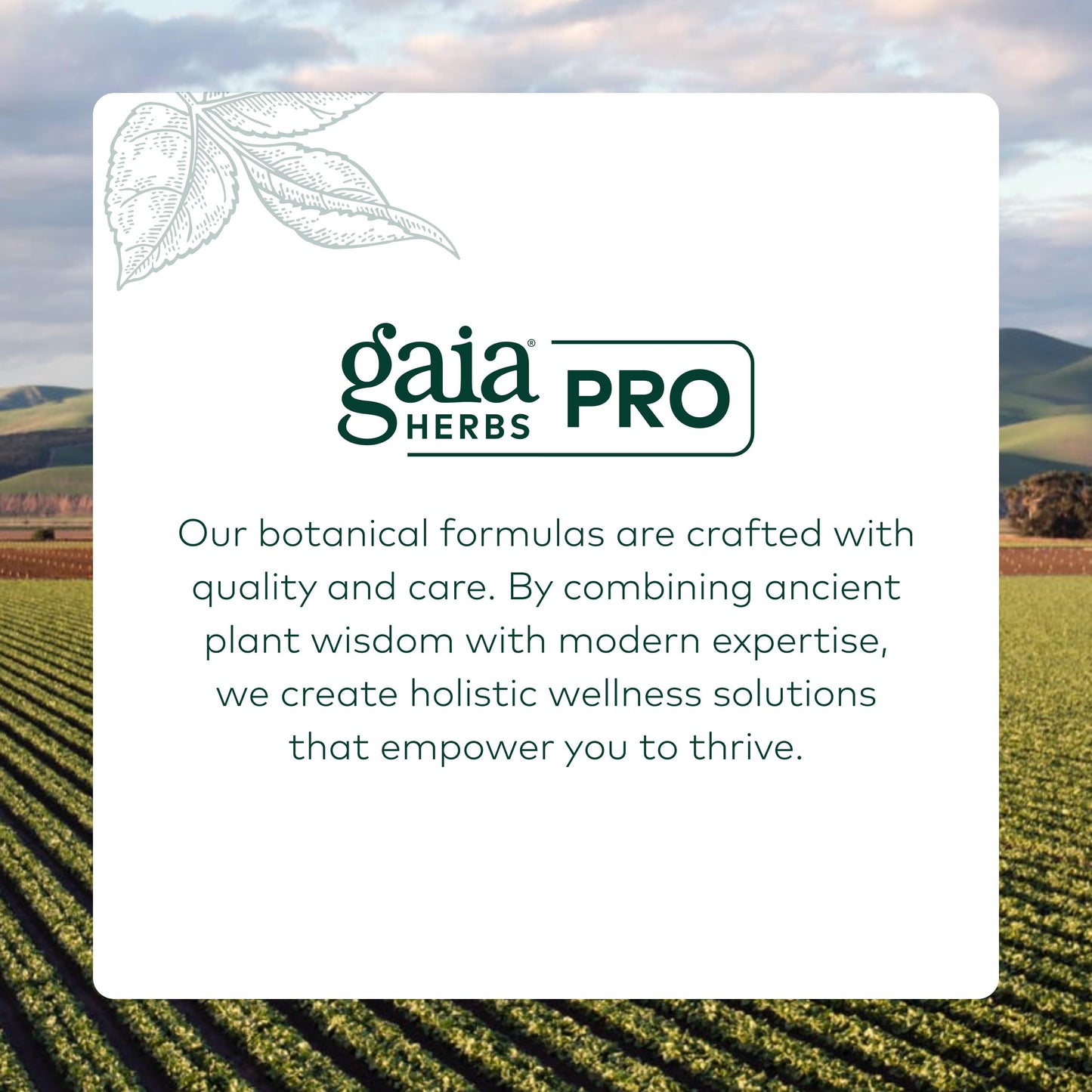 Gaia Herbs PRO MMC Restore Capsule 60 Count
