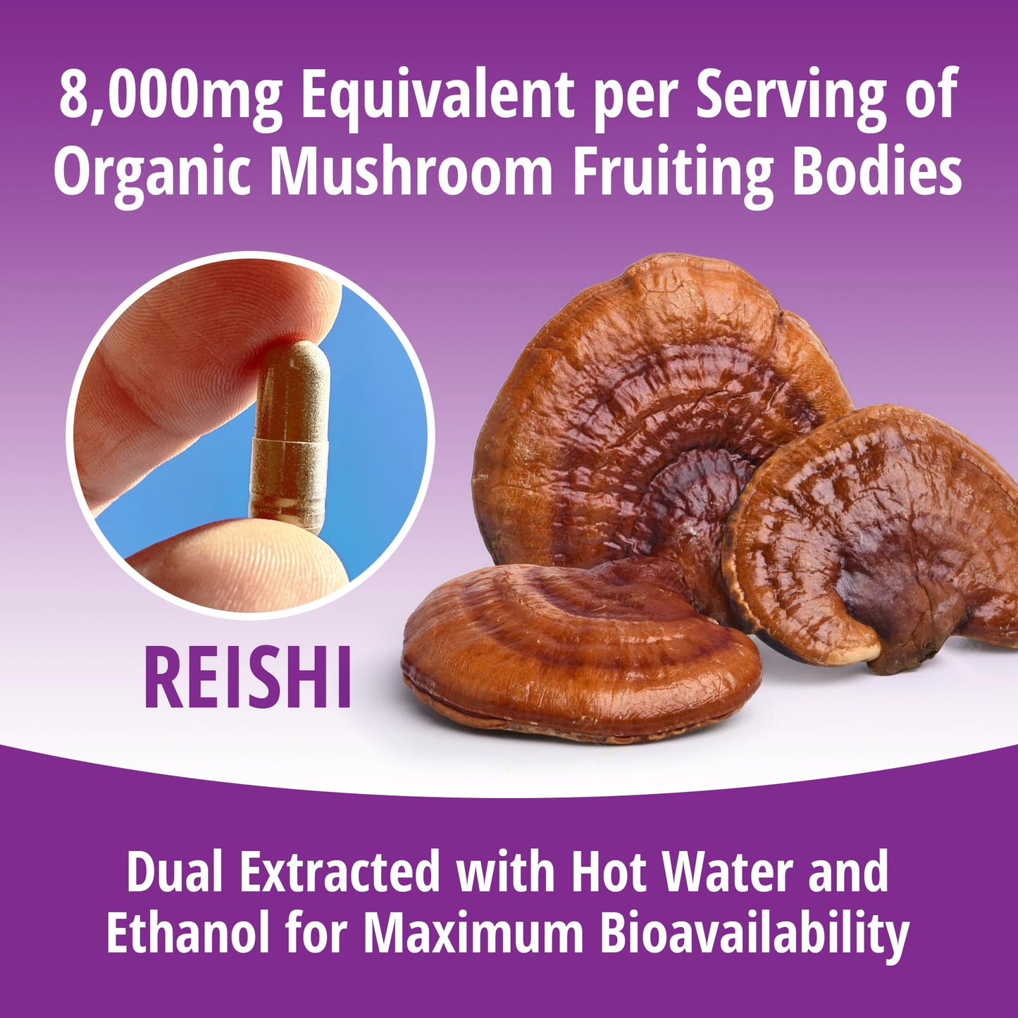 ENCAPSULATE Reishi 8:1 Extract – Premium Organic Fruiting Body 8:1 Mushroom Extract – Adaptogen Mushroom Supplement for Longevity, Vitality, Heart Health & Immune Support, 60 Vegan Capsules