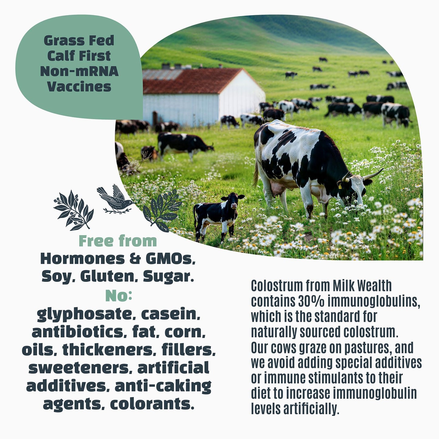 Milk Wealth Bovine Colostrum Powder 1.76 oz