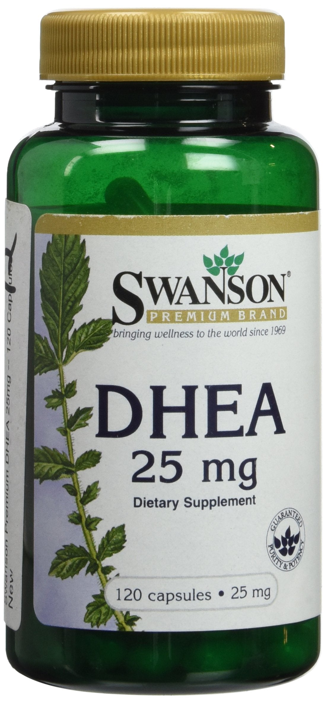 Swanson Premium Brand DHEA 25 mg Capsules, 120 Count