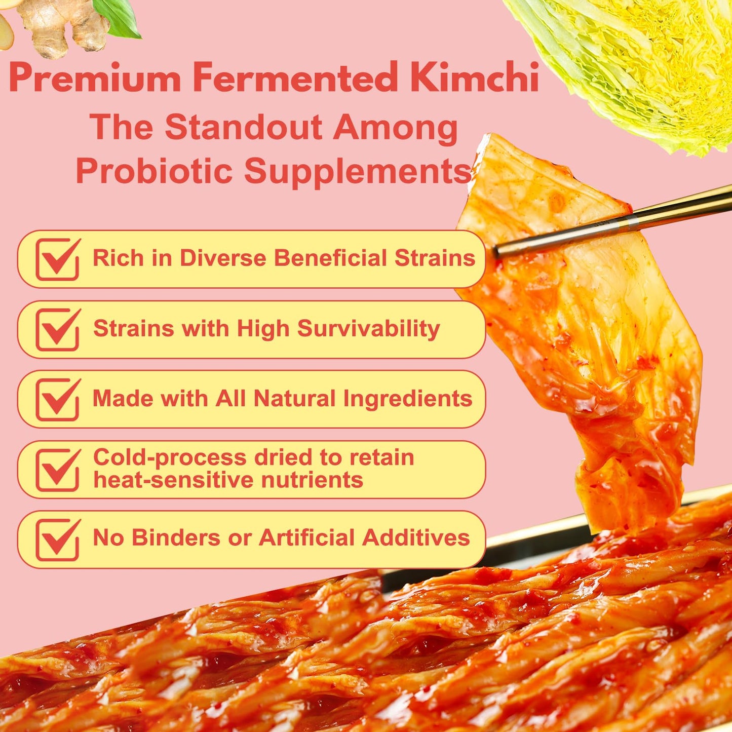 QUBIT Kimchi Supplement Powder 6