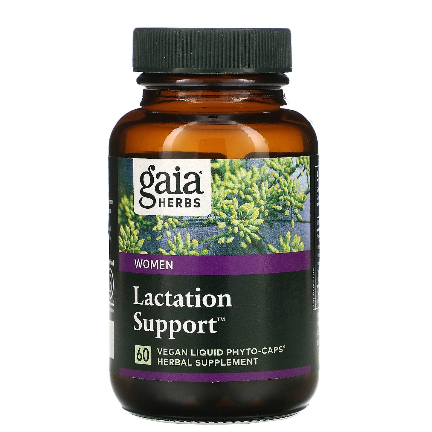Gaia Herbs Lactation Support Phyto Capsule 60 Count
