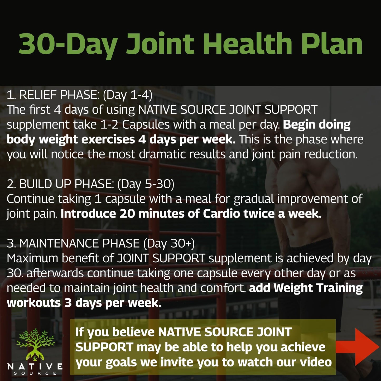 Native Source Indian Curcumin: Joint Recovery Capsules 30