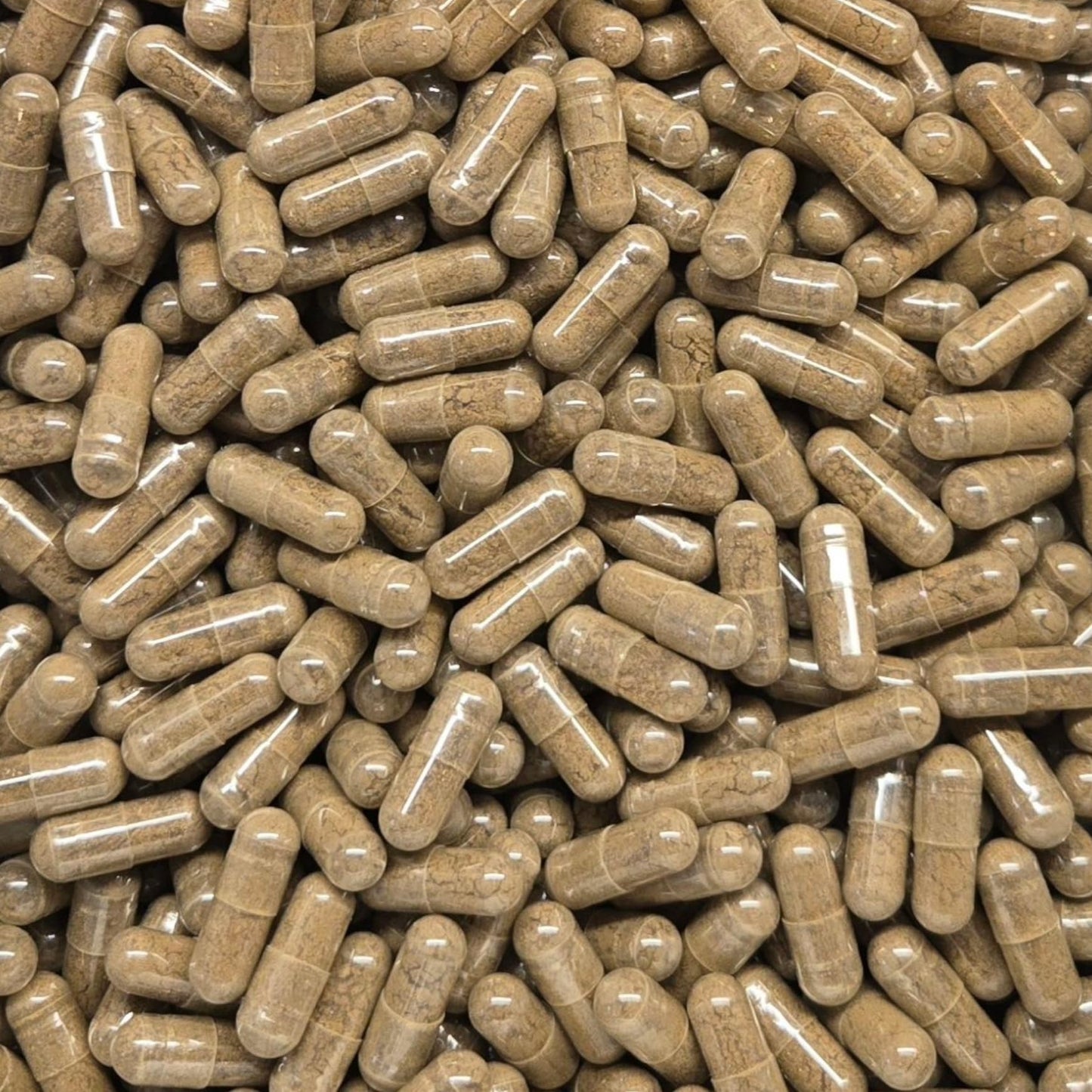Generic Mullein Leaf Capsules 240 Capsules