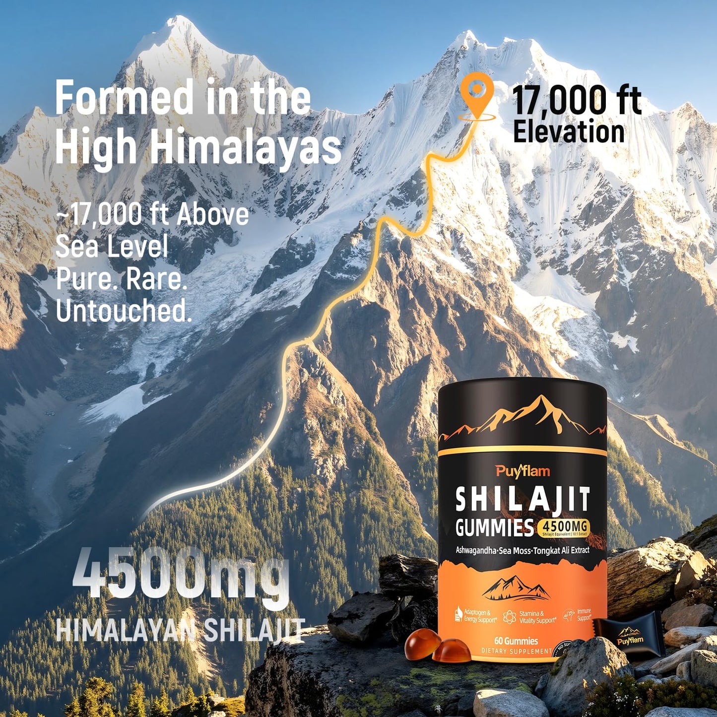 Puyflam Shilajit Gummies 4500mg – 14-in-1 Himalayan Shilajit for Men with Ashwagandha, Tongkat Ali, Black Maca, CoQ10, NMN & Turmeric, Natural Energy, Stamina & Vitality Immune Support, 60 Gummies