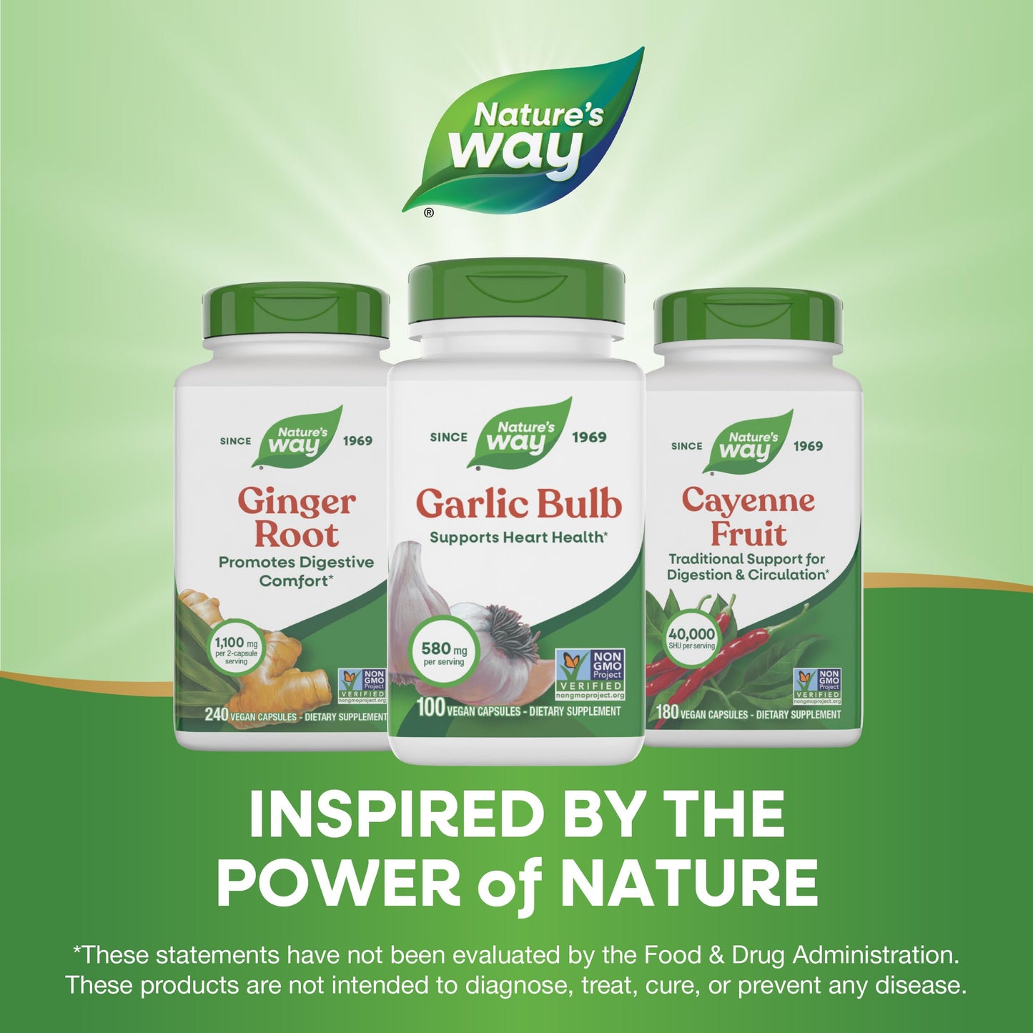Nature's Way Garlic Bulb Capsule, 100 Capsules