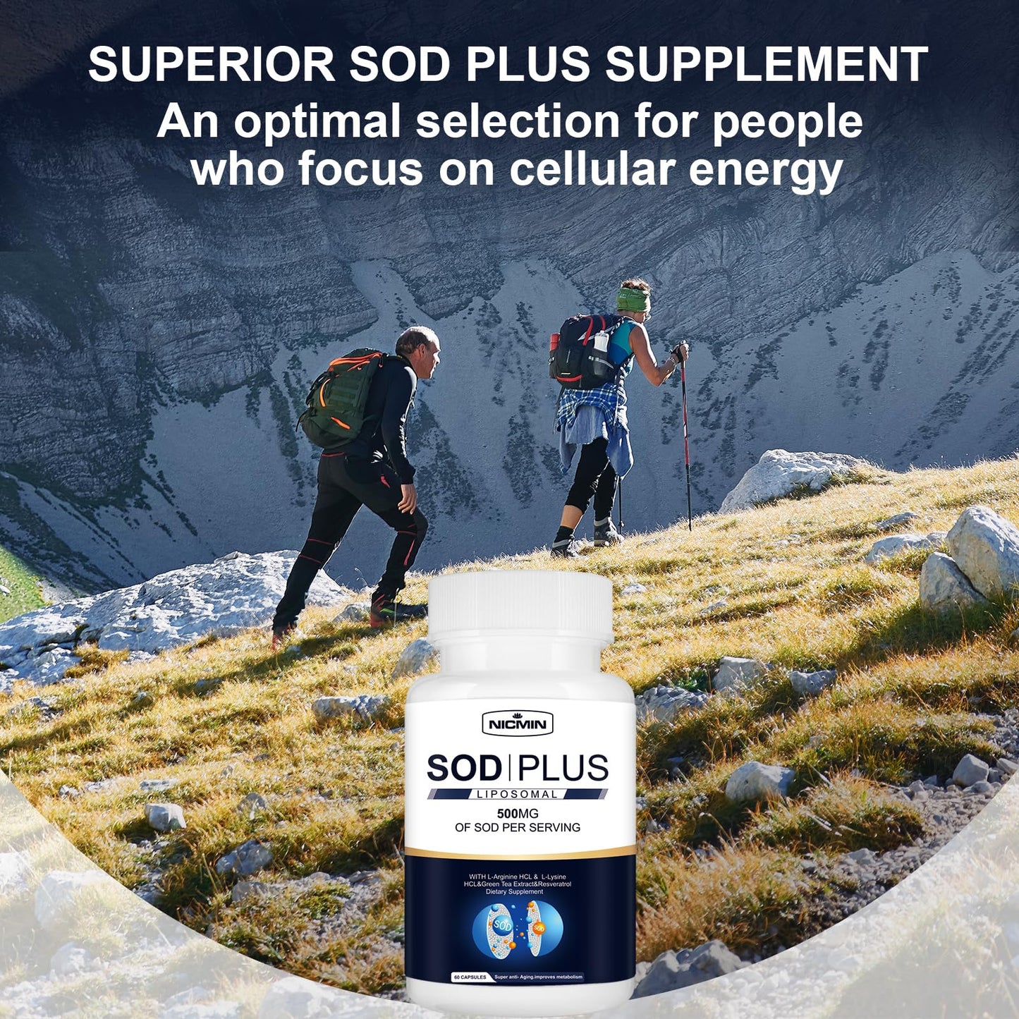 NICMIN 500MG Superoxide Dismutase Supplement - SOD Plus with Liposomal Glutathione, AKG, Green Tea Extract, L-Arginine, Lysine, Resveratrol and Vitamin E for Immune Support, Antioxidant, 120 Capsules