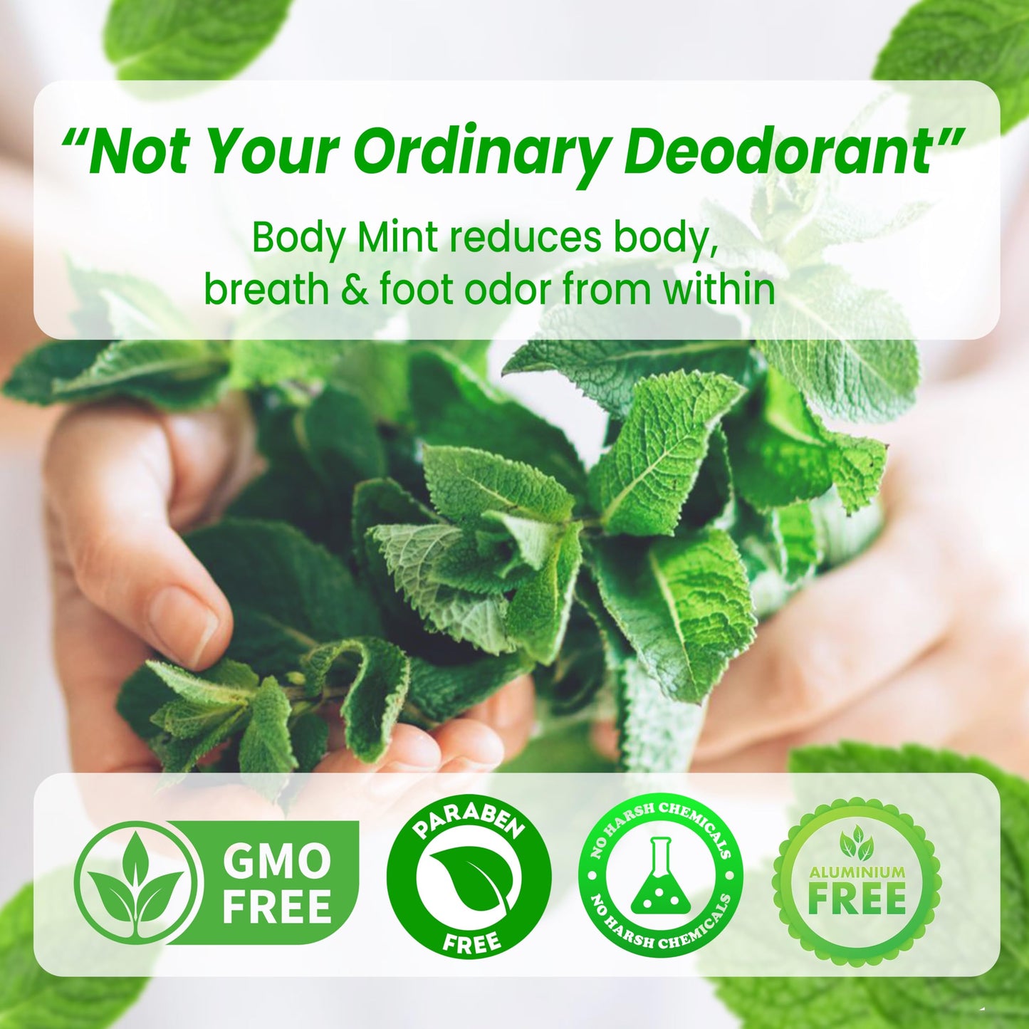 Body Mint Original Chlorophyll Deodorizing Supplement for Full Body Freshness Tablet 50