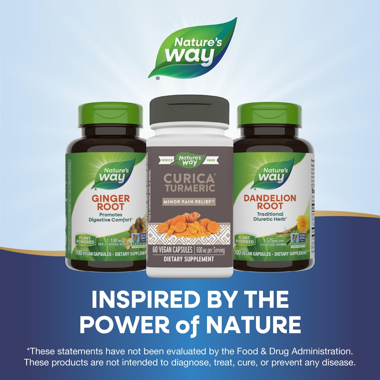 Nature's Way Curica Turmeric Bioavailable Curcumin Capsules 60 Capsules