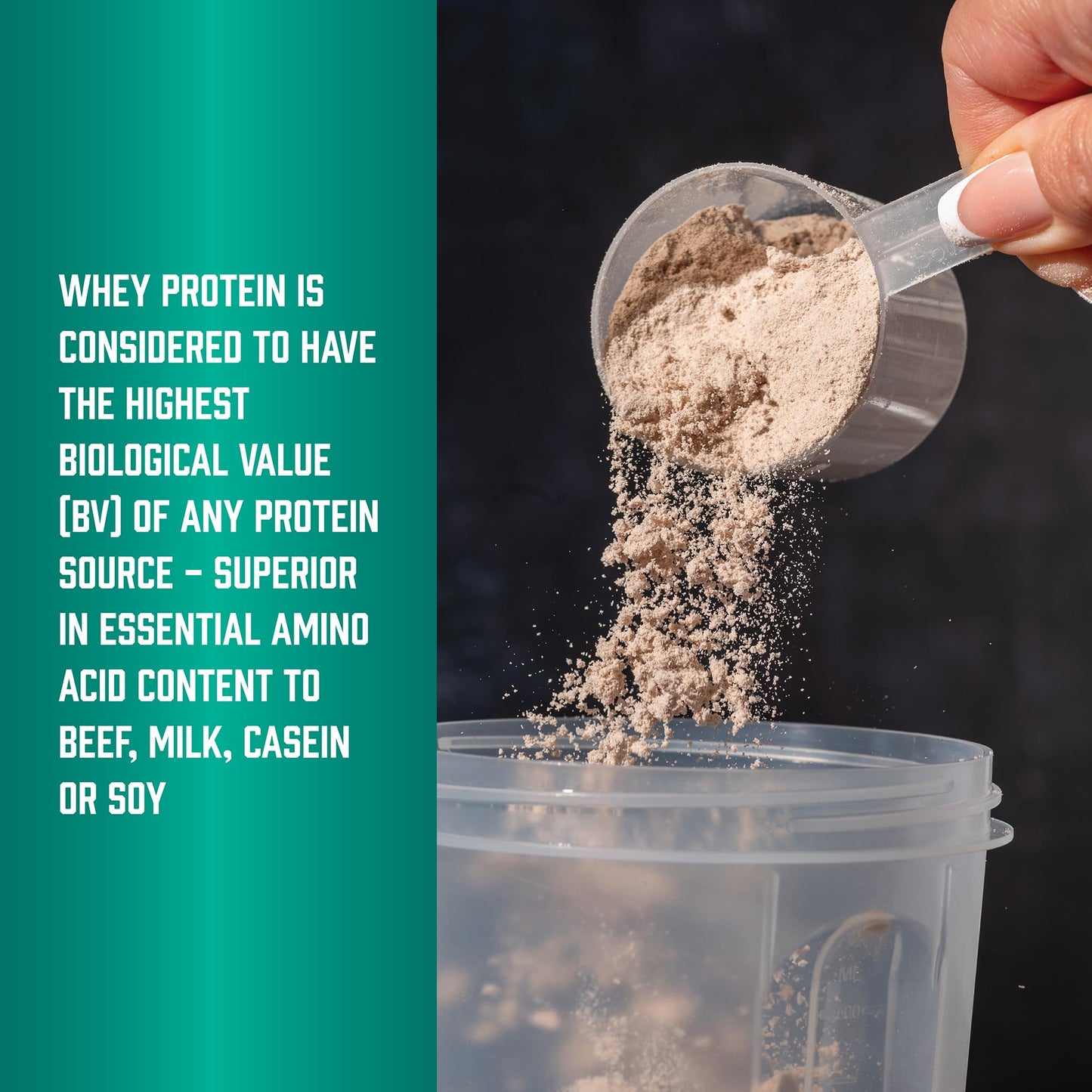 NOW Foods Whey Protein with BCAAs Powder, 32 Servings