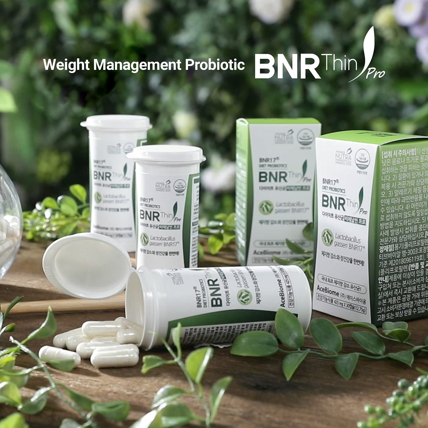 AceBiome BNRThin Pro Lactobacillus Gasseri BNR17 10 Billion CFU Capsules 90 Count
