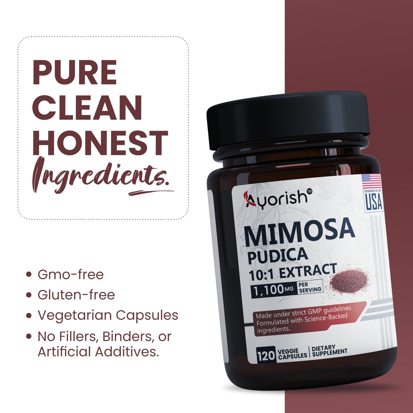 Ayorish Mimosa Pudica 10:1 Extract 1100mg Per Serving, 120 Veggie Capsules