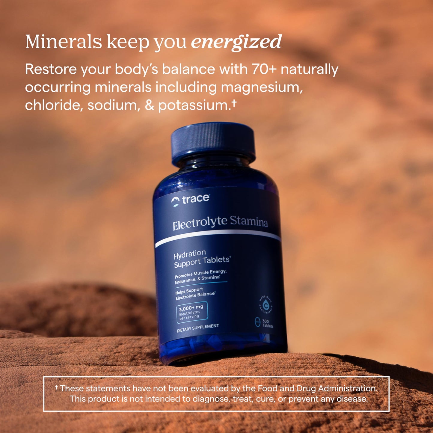 Trace Minerals Research Electrolyte Stamina - Daily Hydration Supplement for Electrolyte Balance - Energy Support - Full Spectrum Of Ionic Minerals - Vegan - Gluten-Free 300 Tablets